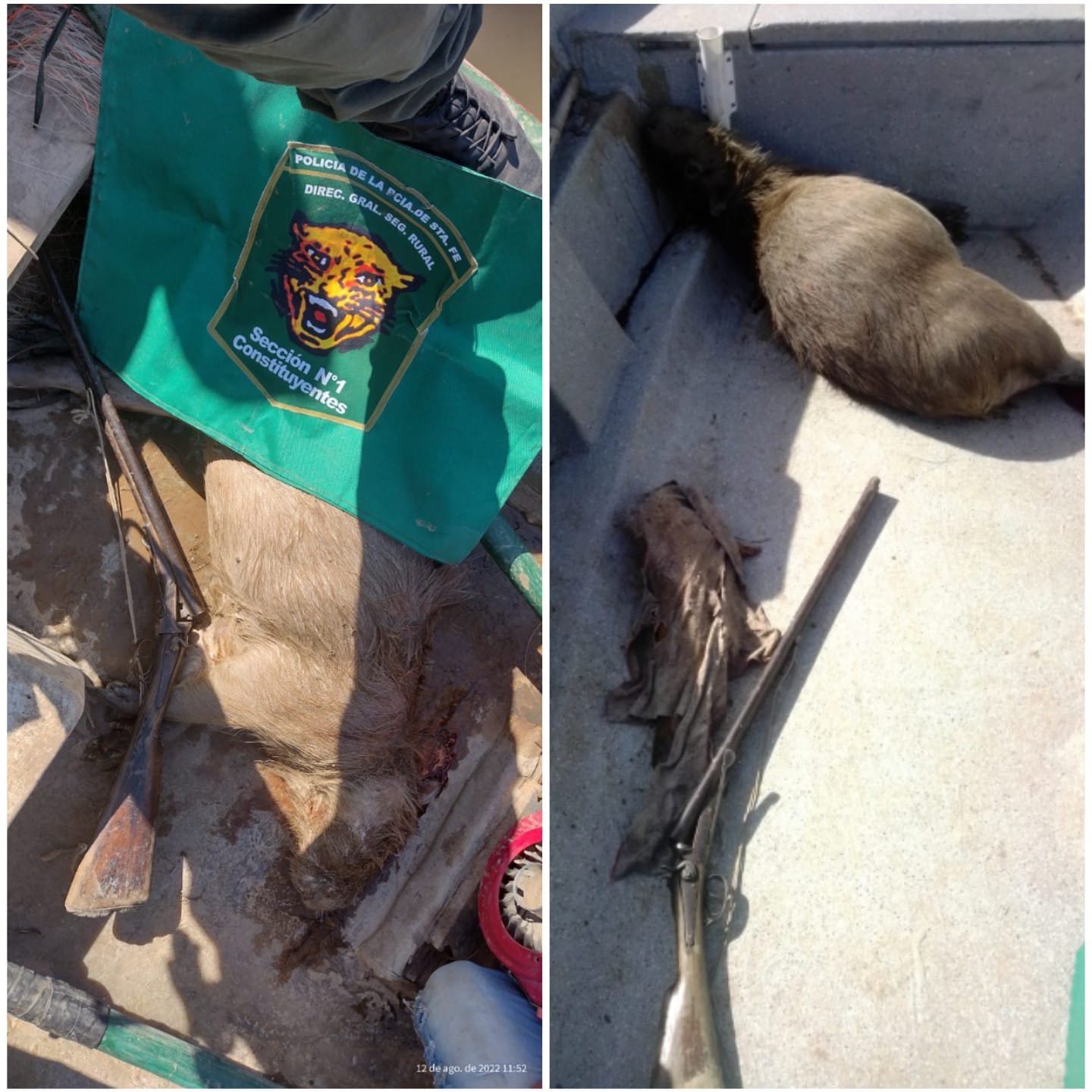 LA GUARDIA RURAL LOS PUMAS: REALIZARON VARIOS PROCEDIMIENTOS EN LA ZONA