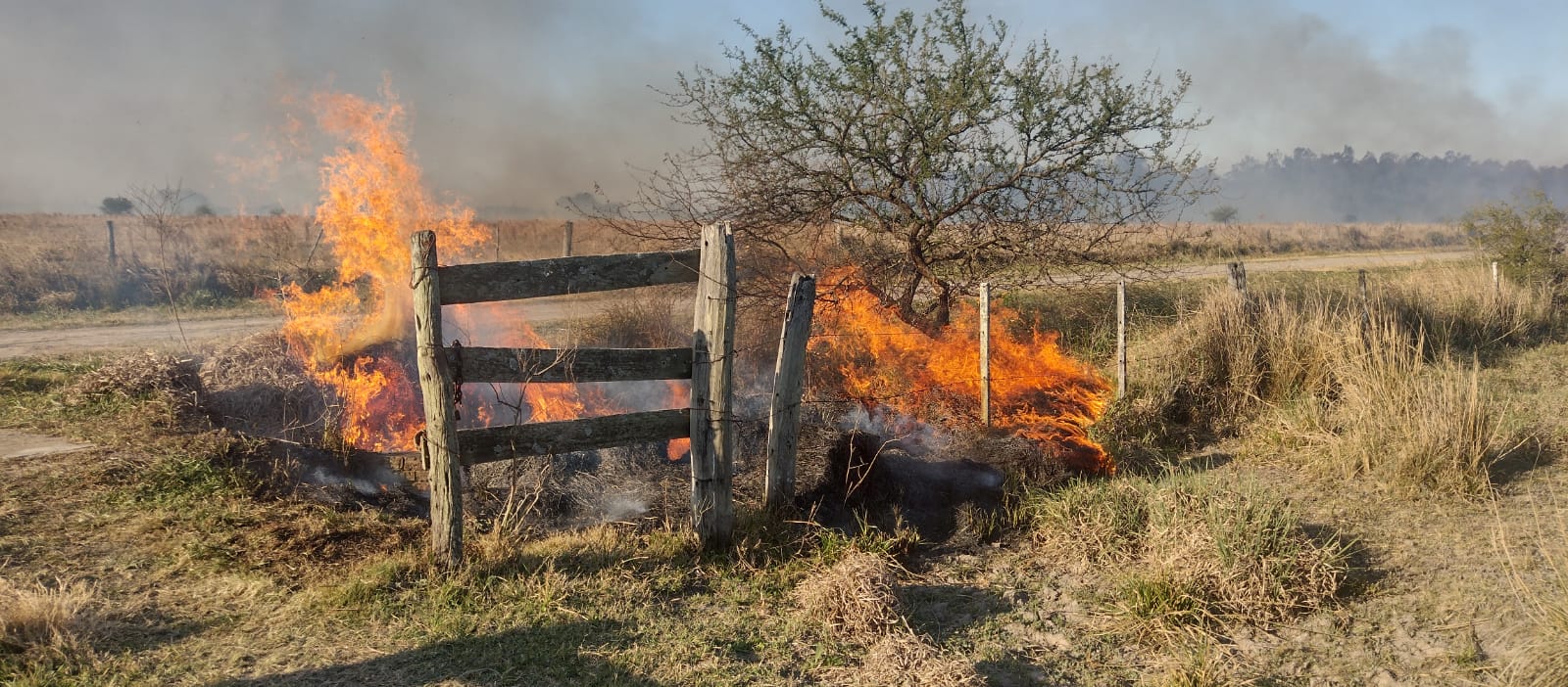 EL SOMBRERITO: INCENDIO EN UNA ESTANCIA SOBRE RUTA 11
