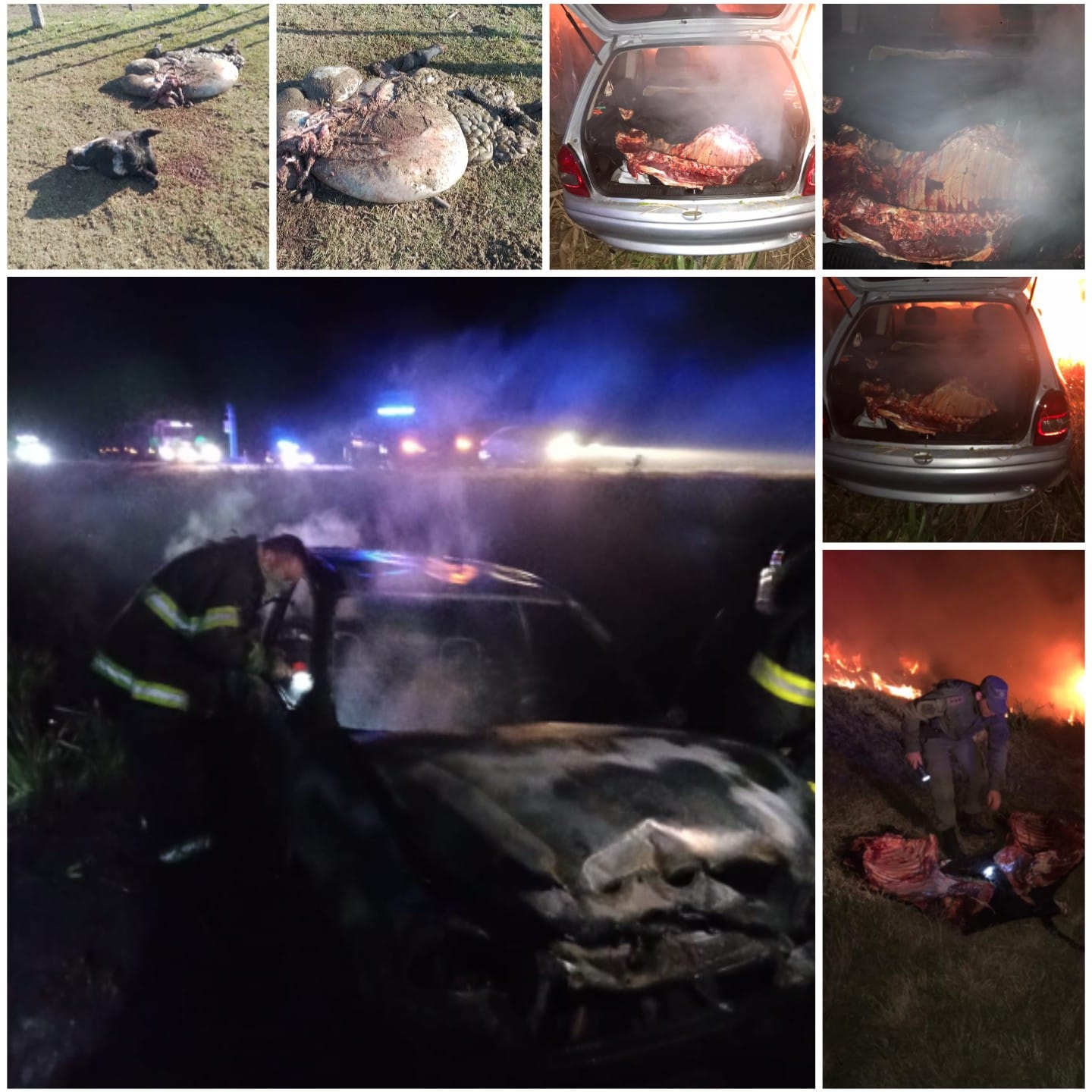 PARTE DE PRENSA: DIRECCION GENERAL DE SEGURIDAD RURAL “LOS PUMAS”