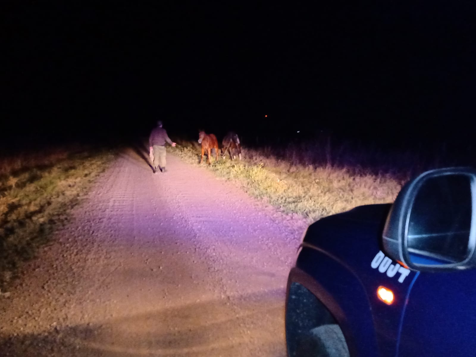 GUARDIA RURAL LOS PUMAS: PARTE DE PRENSA.