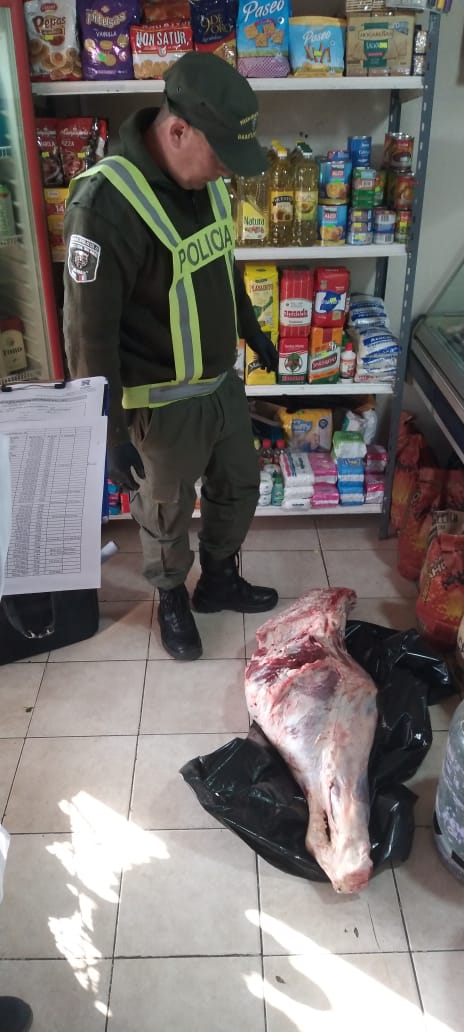 PARTE DE PRENSA: DIRECCION GENERAL DE SEGURIDAD RURAL “LOS PUMAS”.