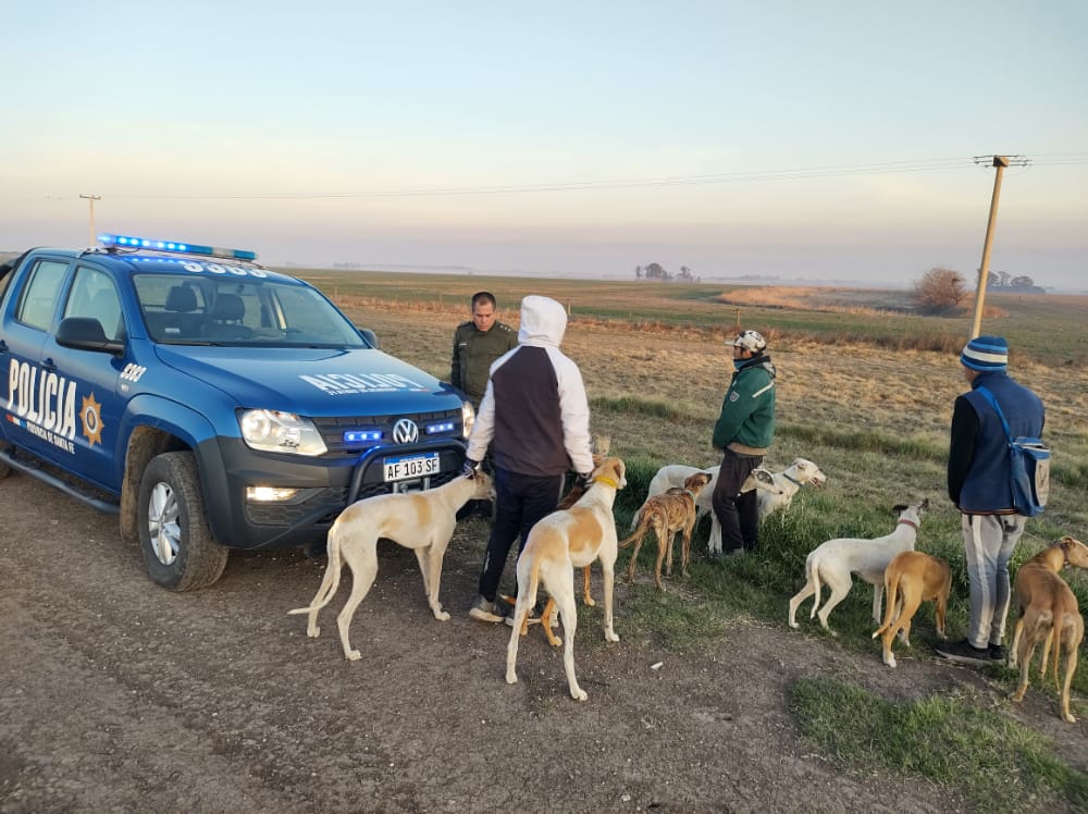 PARTE DE PRENSA: DIRECCION GENERAL DE SEGURIDAD RURAL “LOS PUMAS”.
