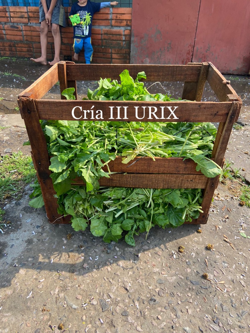 POLICIALES: AVELLANEDA