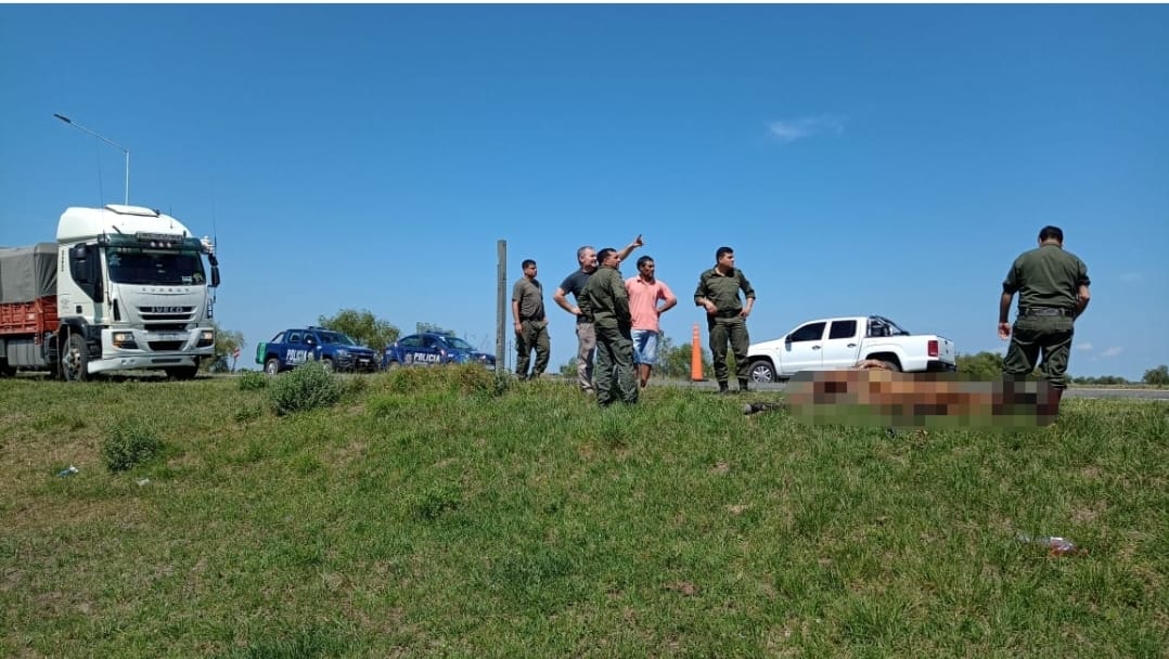 SAN ANTONIO DE OBLIGADO: UN CAMION CHOCO  A UN CABALLO
