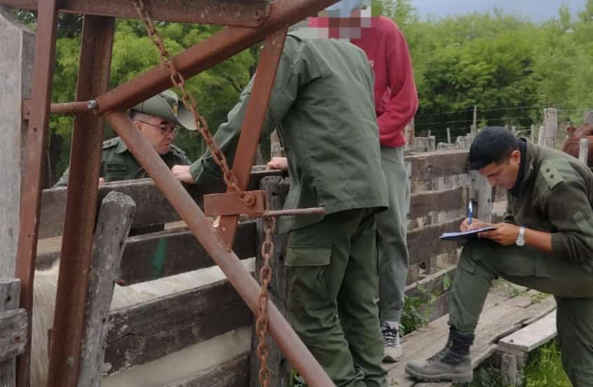 PARTE DE PRENSA: DIRECCION GENERAL DE SEGURIDAD RURAL “LOS PUMAS”