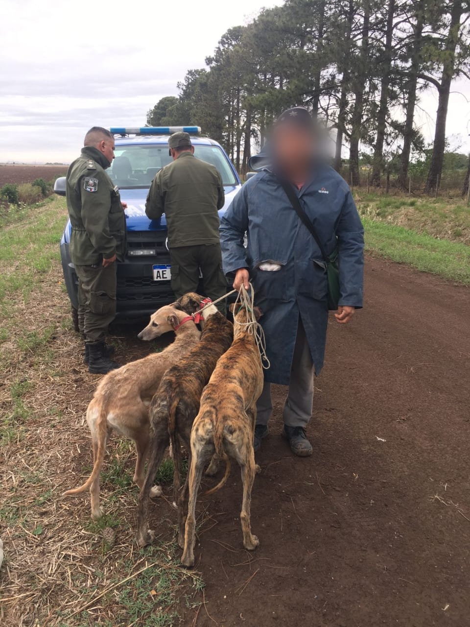PARTE DE PRENSA: DIRECCION GENERAL DE SEGURIDAD RURAL “LOS PUMAS”