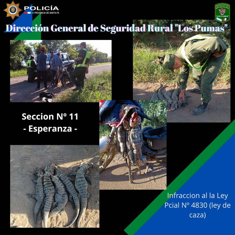 PARTE DE PRENSA: DIRECCION GENERAL DE SEGURIDAD RURAL “LOS PUMAS”