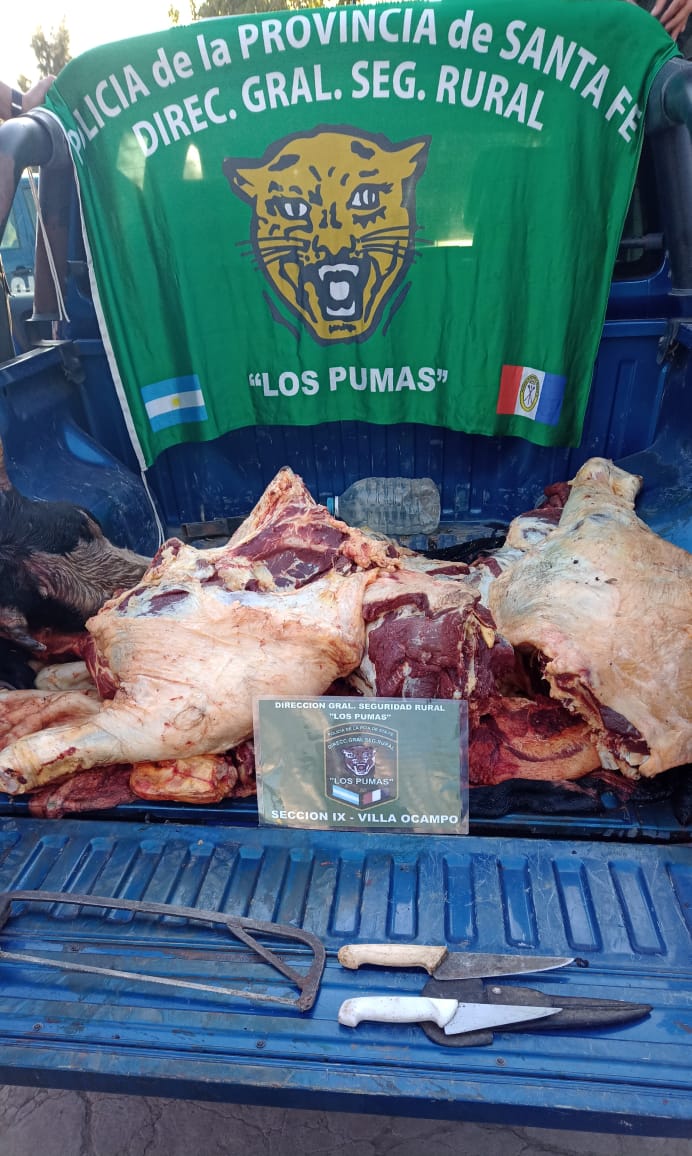 PARTE DE PRENSA: DIRECCION GENERAL DE SEGURIDAD RURAL “LOS PUMAS”