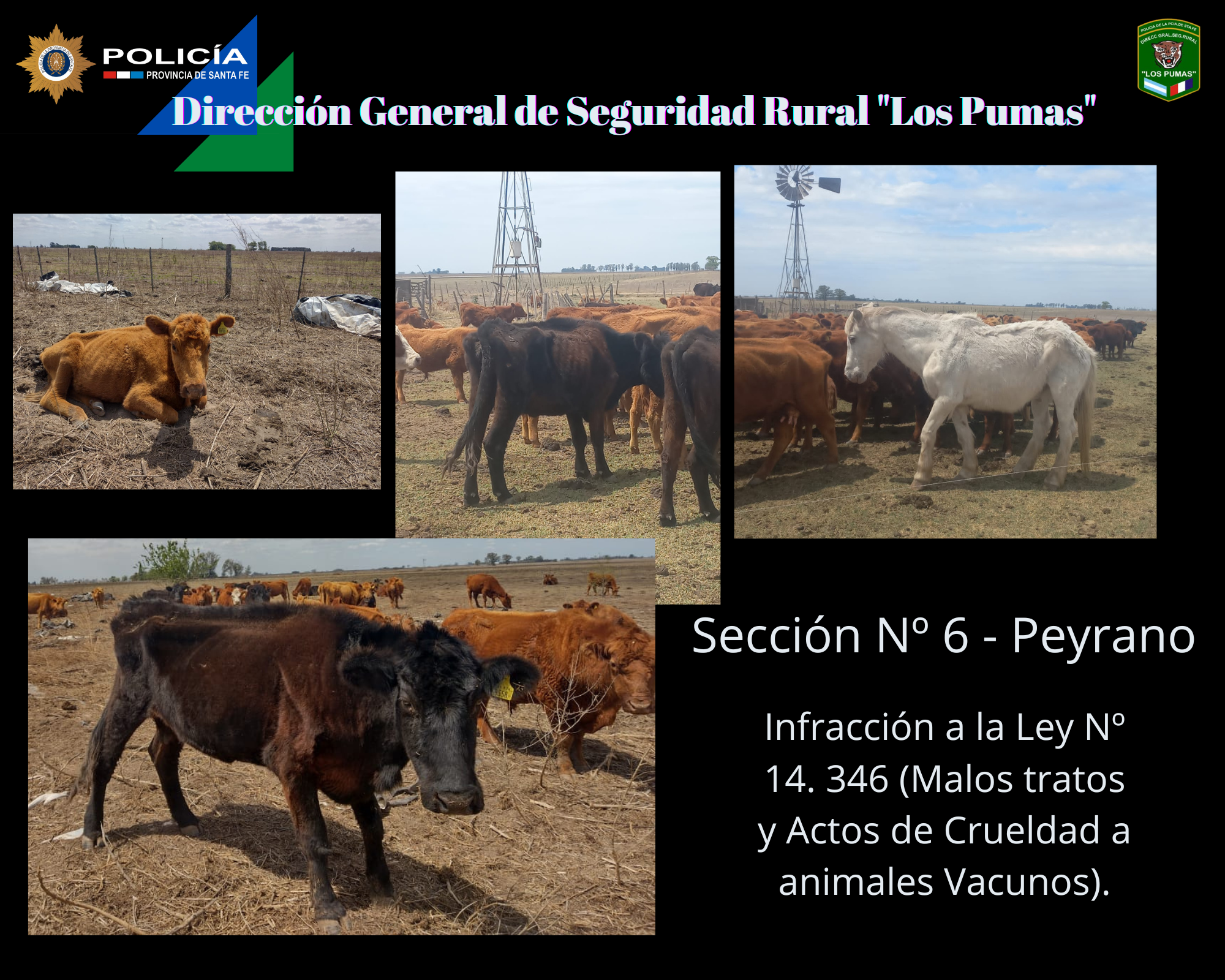 PARTE DE PRENSA: DIRECCION GENERAL DE SEGURIDAD RURAL “LOS PUMAS”