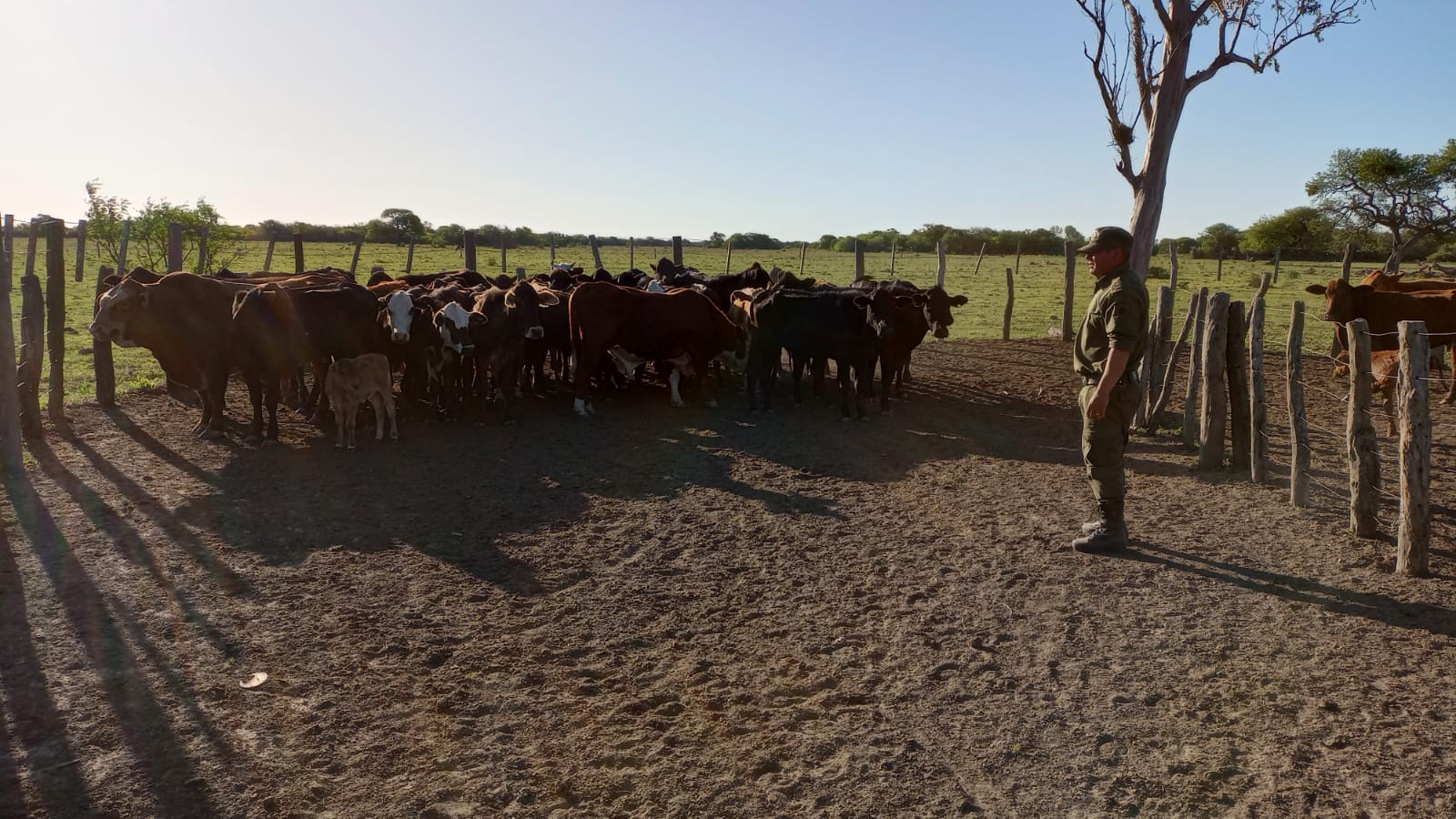 PARTE DE PRENSA: DIRECCION GENERAL DE SEGURIDAD RURAL “LOS PUMAS”