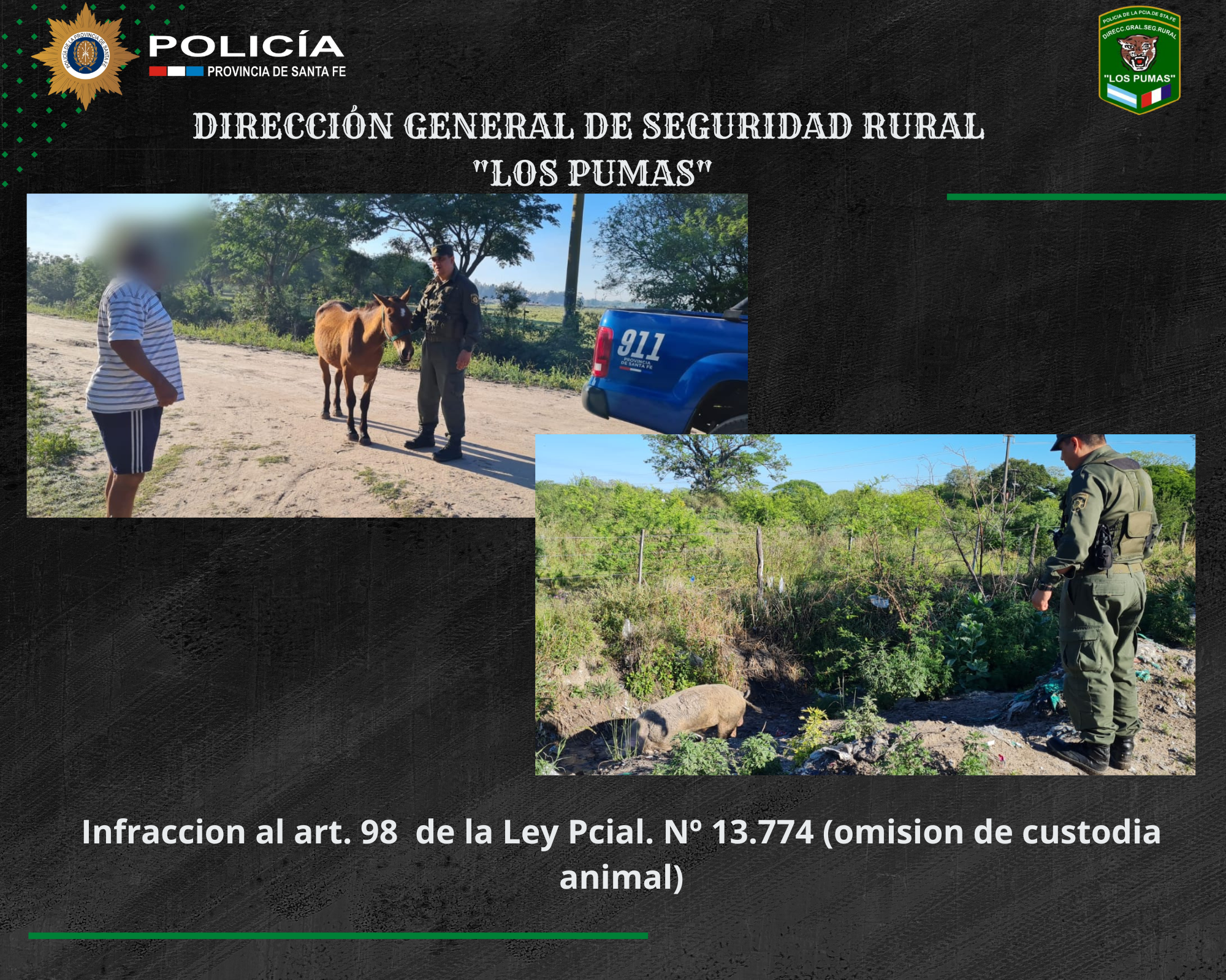 PARTE DE PRENSA: DIRECCION GENERAL DE SEGURIDAD RURAL “LOS PUMAS”