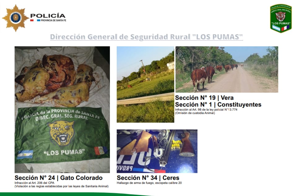 PARTE DE PRENSA: DIRECCION GENERAL DE SEGURIDAD RURAL “LOS PUMAS”,