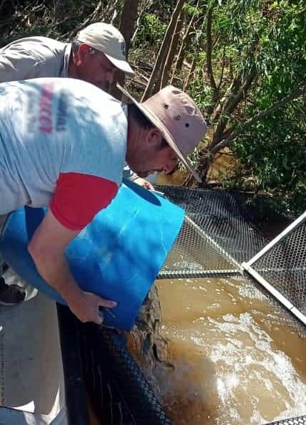 ENTREGA DE JAULAS Y ALEVINES PARA LA CRÍA DE PECES