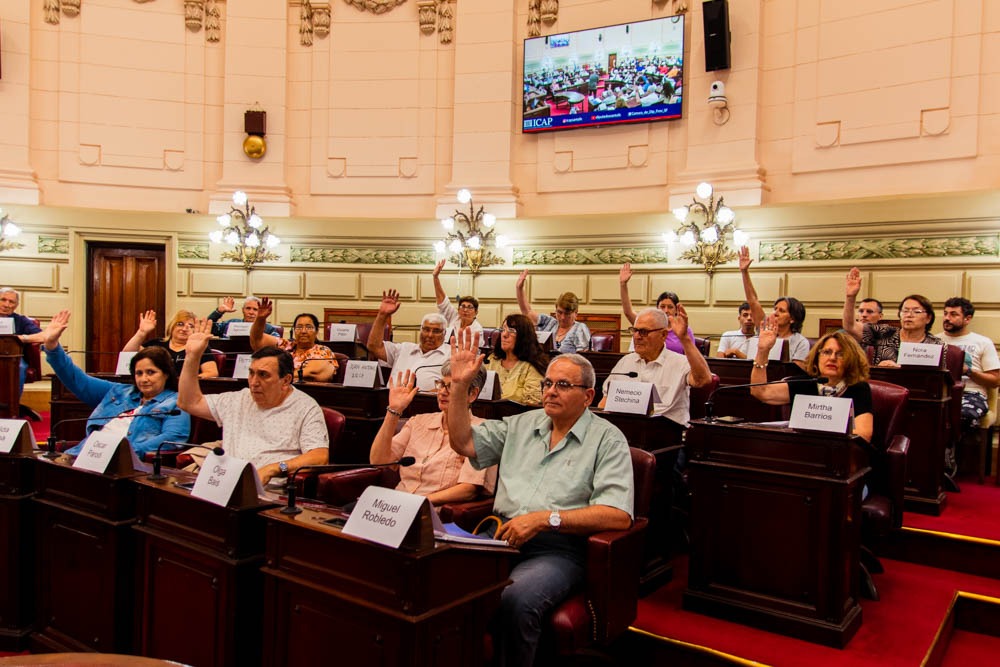 Villa Ocampo presente en Diputados por un Día