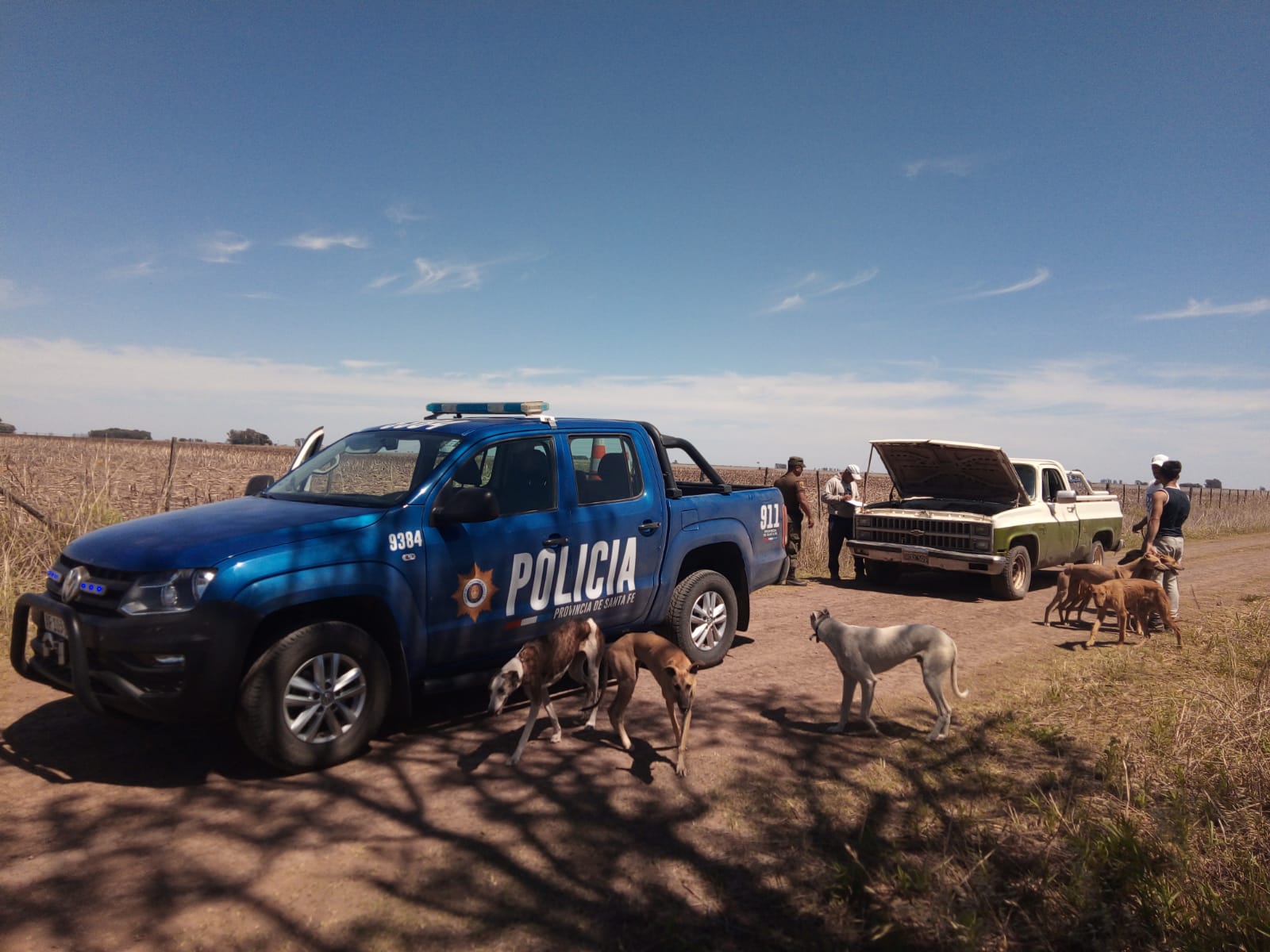 PARTE DE PRENSA: DIRECCION GENERAL DE SEGURIDAD RURAL “LOS PUMAS”
