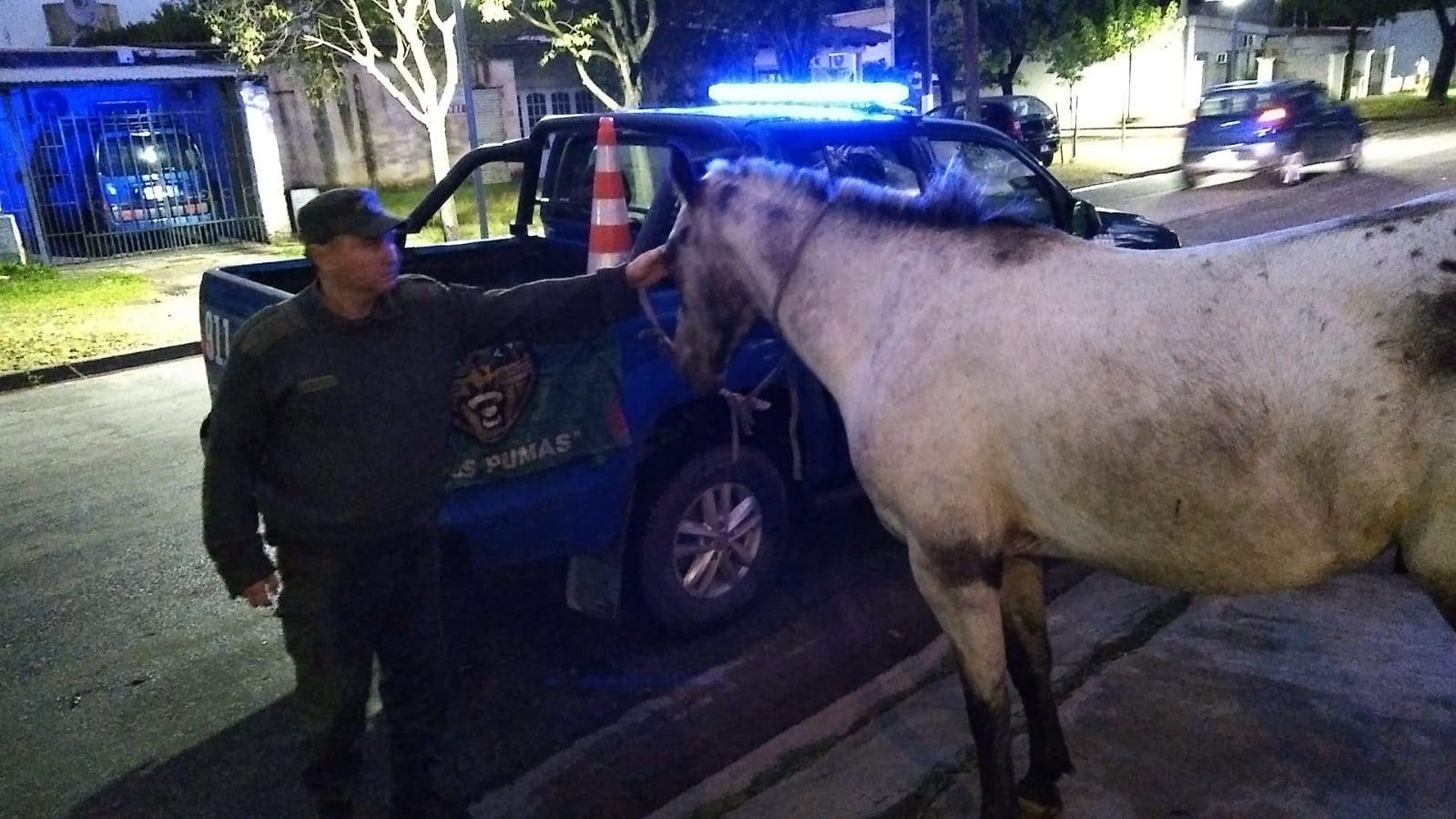 PARTE DE PRENSA: DIRECCION GENERAL DE SEGURIDAD RURAL “LOS PUMAS”