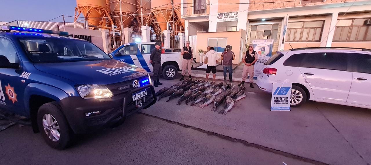 PARTE DE PRENSA: DIRECCION GENERAL DE SEGURIDAD LOS PUMAS