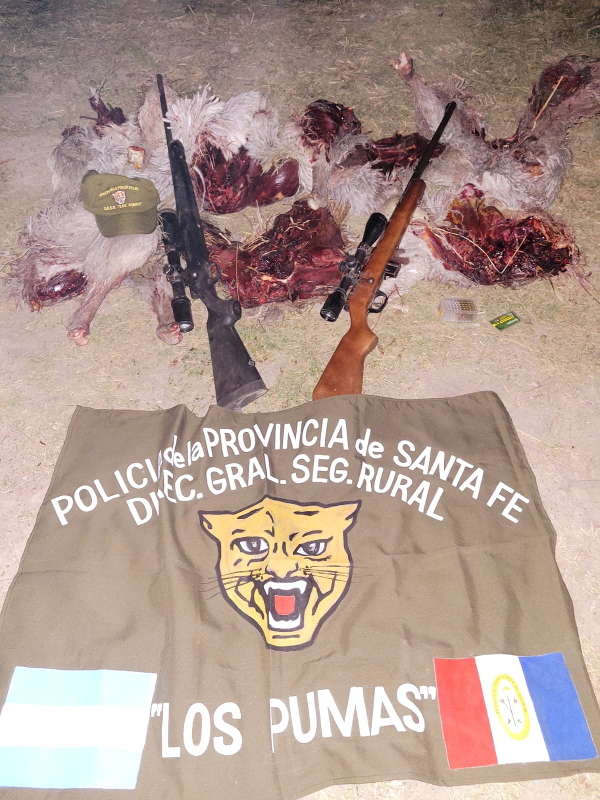 PARTE DE PRENSA: DIRECCION GENERAL DE SEGURIDAD RURAL “LOS PUMAS”