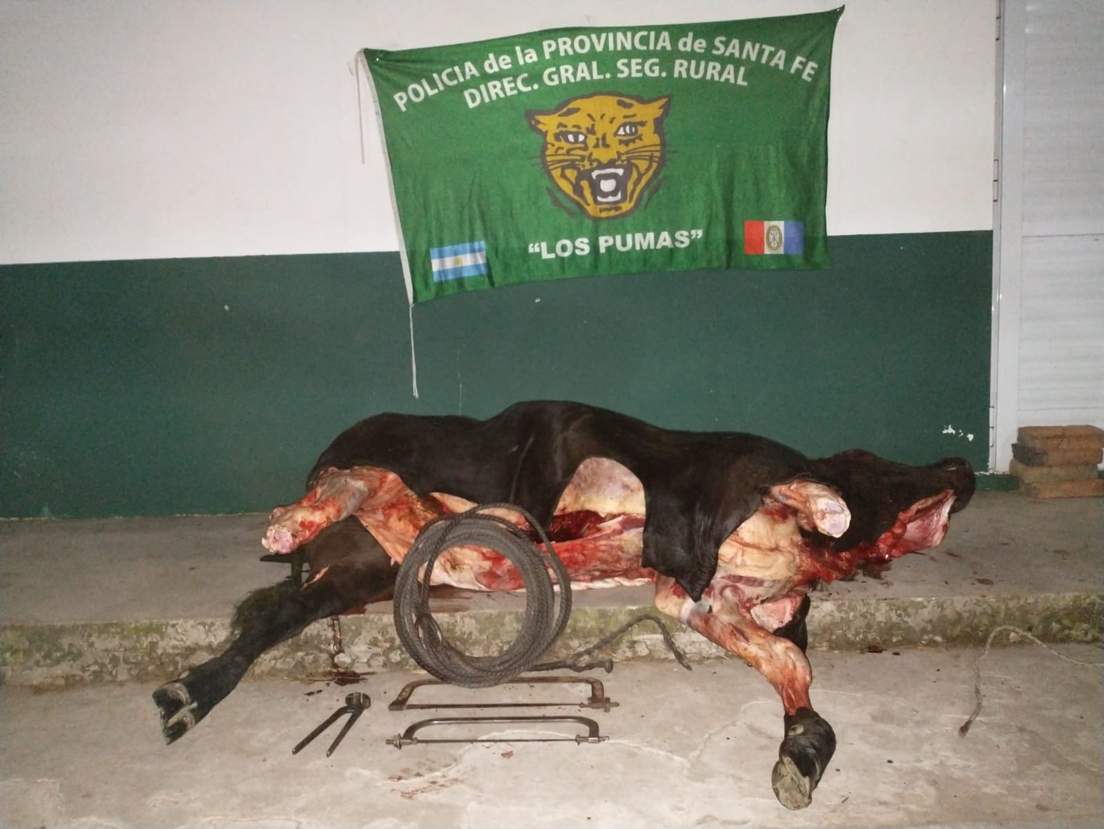 PARTE DE PRENSA: DIRECCION GENERAL DE SEGURIDAD RURAL “LOS PUMAS”