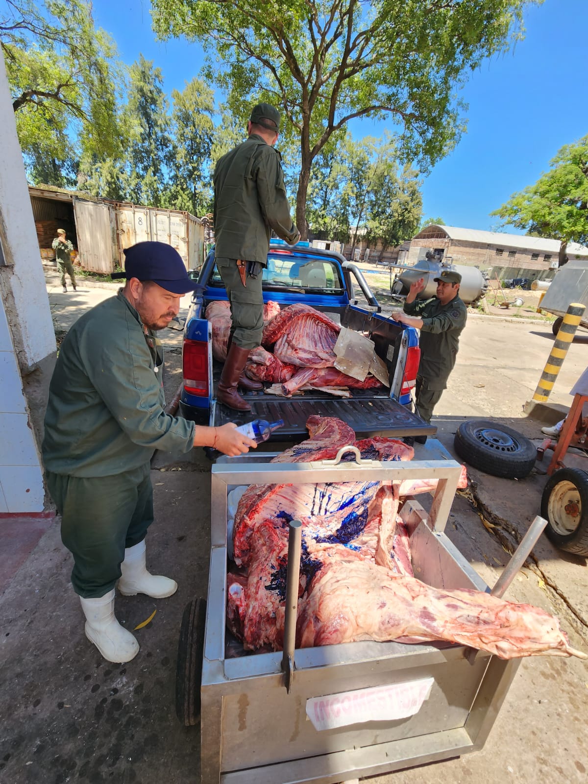 PARTE DE PRENSA: DIRECCION GENERAL DE SEGURIDAD RURAL “LOS PUMAS”