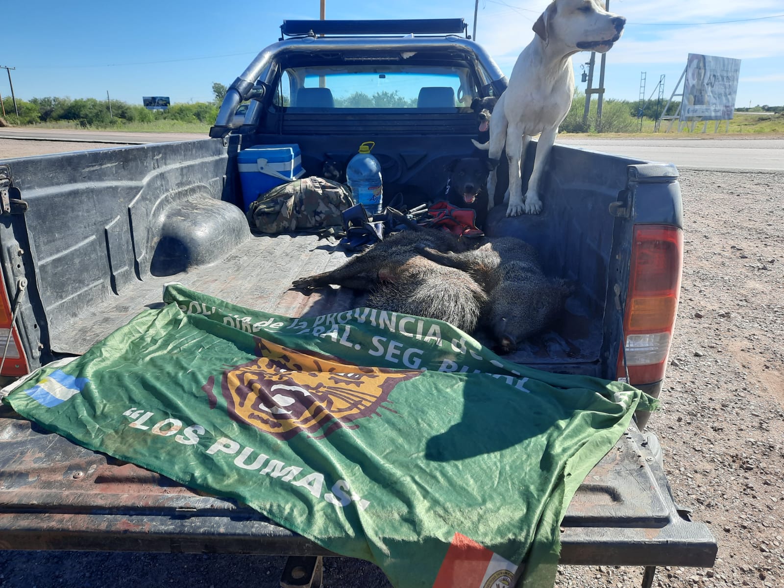 PARTE DE PRENSA:DIRECCION GENERAL DE SEGURIDAD RURAL “LOS PUMAS”