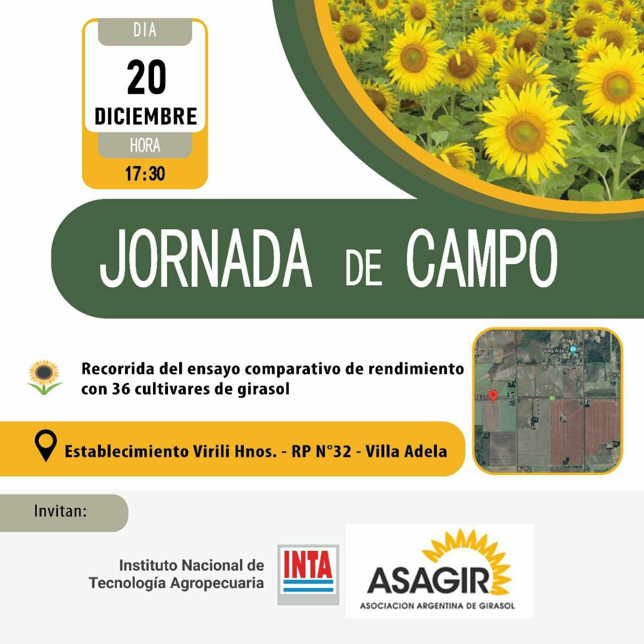 RENDIMIENTO DEL GIRASOL (JORNADA DE CAMPO)