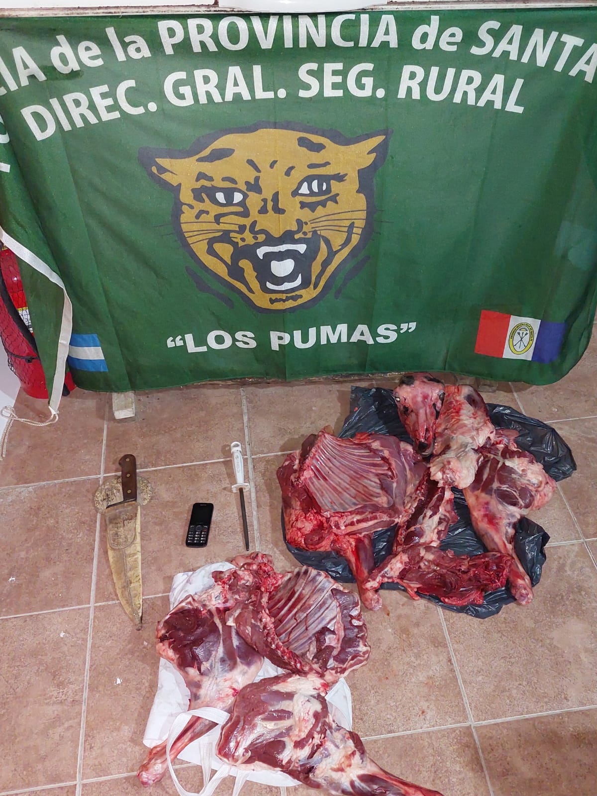 PARTE DE PRENSA: DIRECCION GENERAL DE SEGURIDAD RURAL “LOS PUMAS”