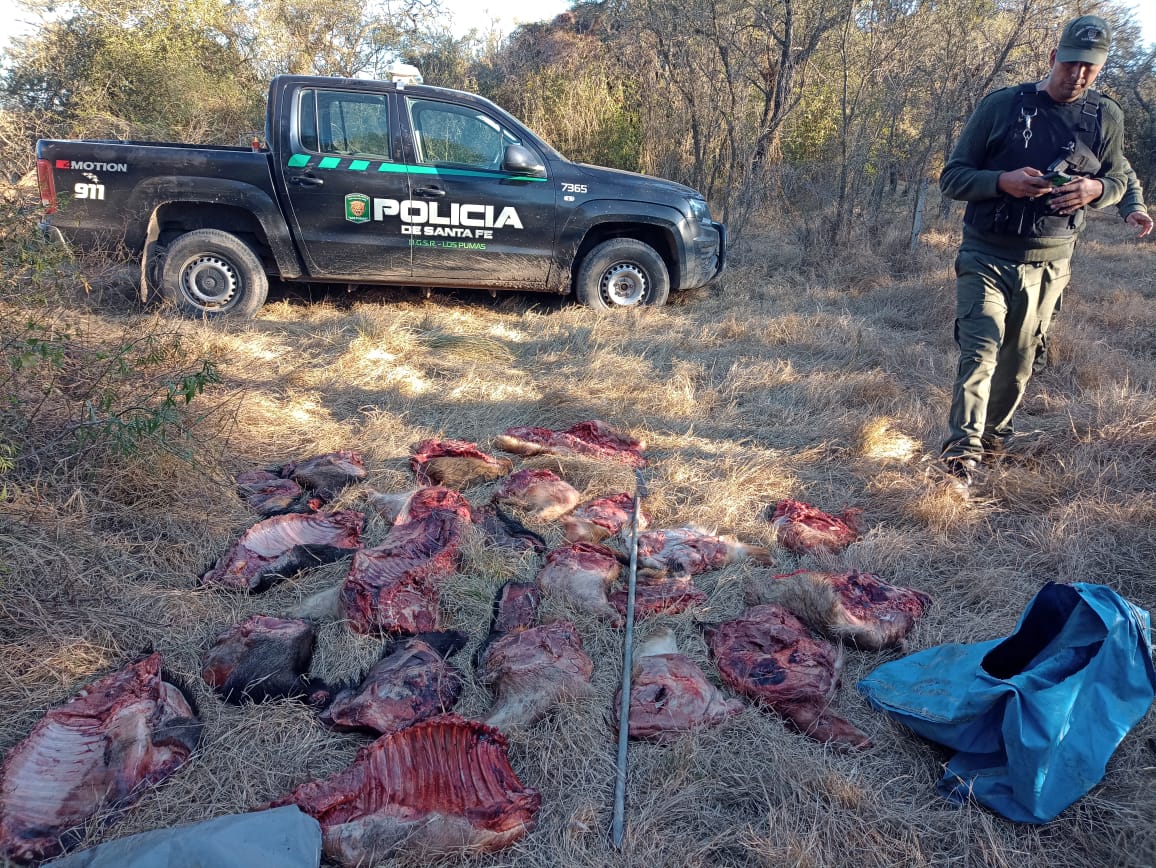 PARTE DE PRENSA: DIRECCION GENERAL DE SEGURIDAD RURAL “LOS PUMAS”