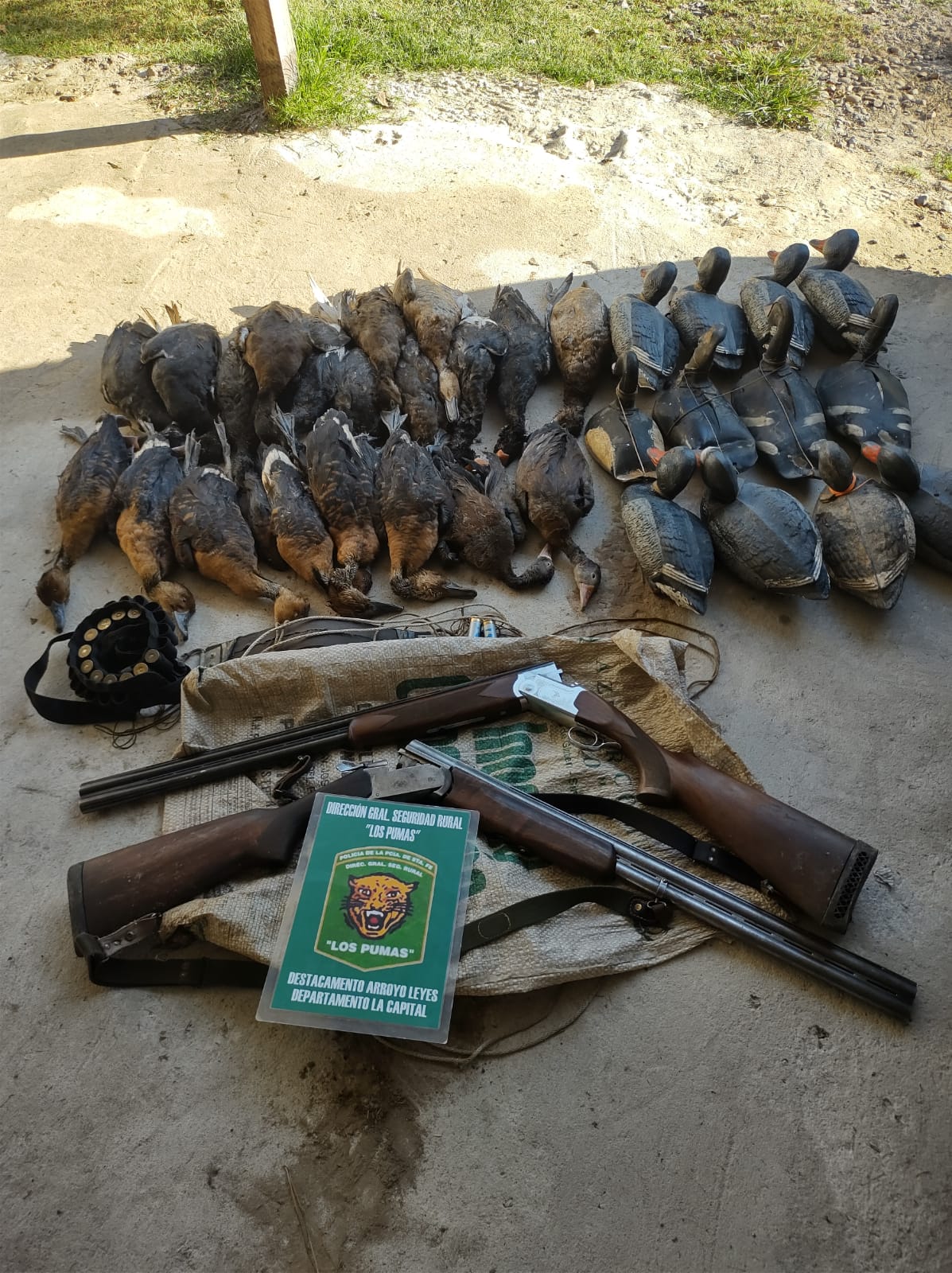 PARTE DE PRENSA: DIRECCION GENERAL DE SEGURIDAD RURAL “LOS PUMAS”