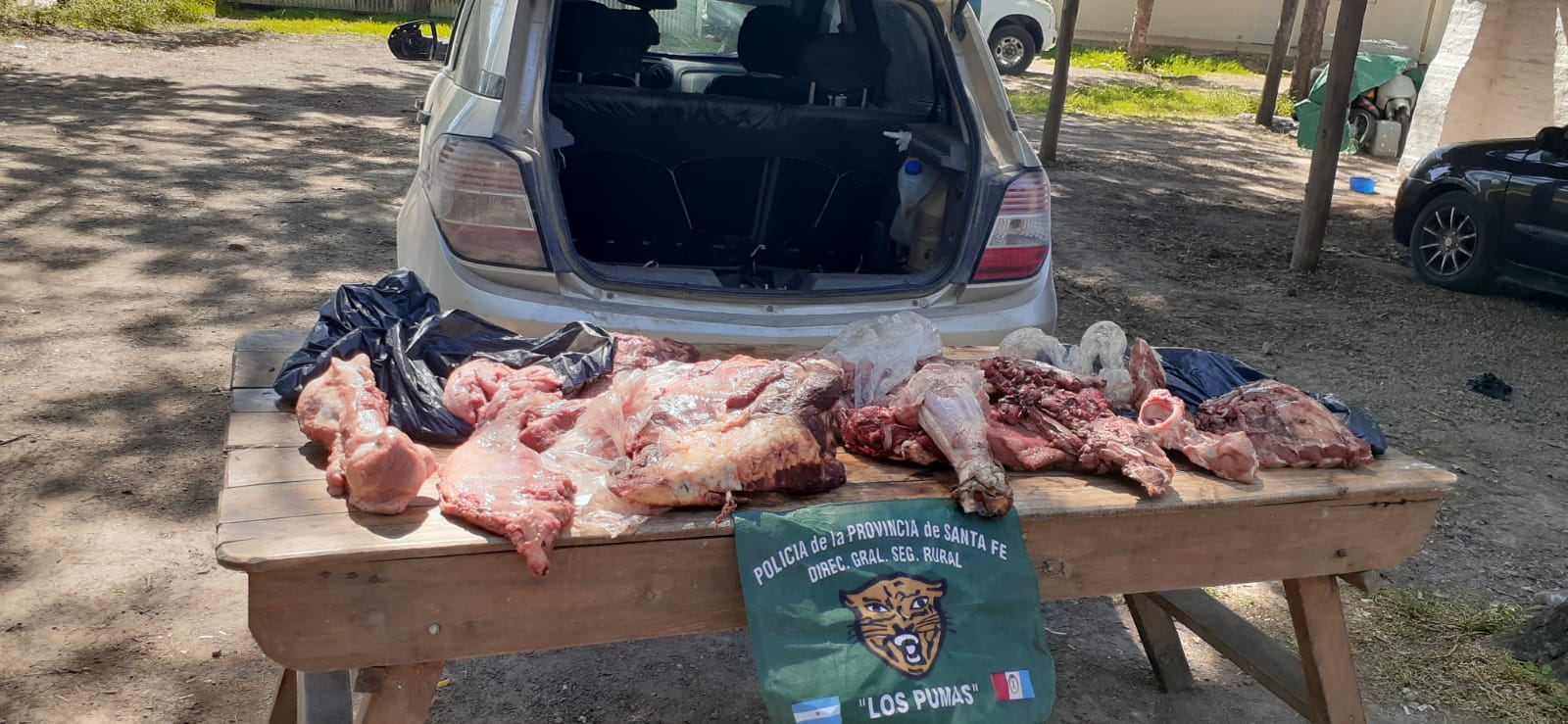 PARTE DE PRENSA: DIRECCION GENERAL DE SEGURIDAD RURAL “LOS PUMAS”