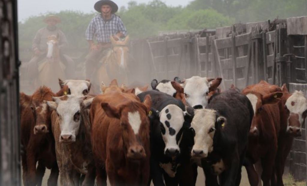 La comuna de Villa Guillermina continúa asistiendo económicamente a pequeños productores ganaderos del pueblo forestalero.