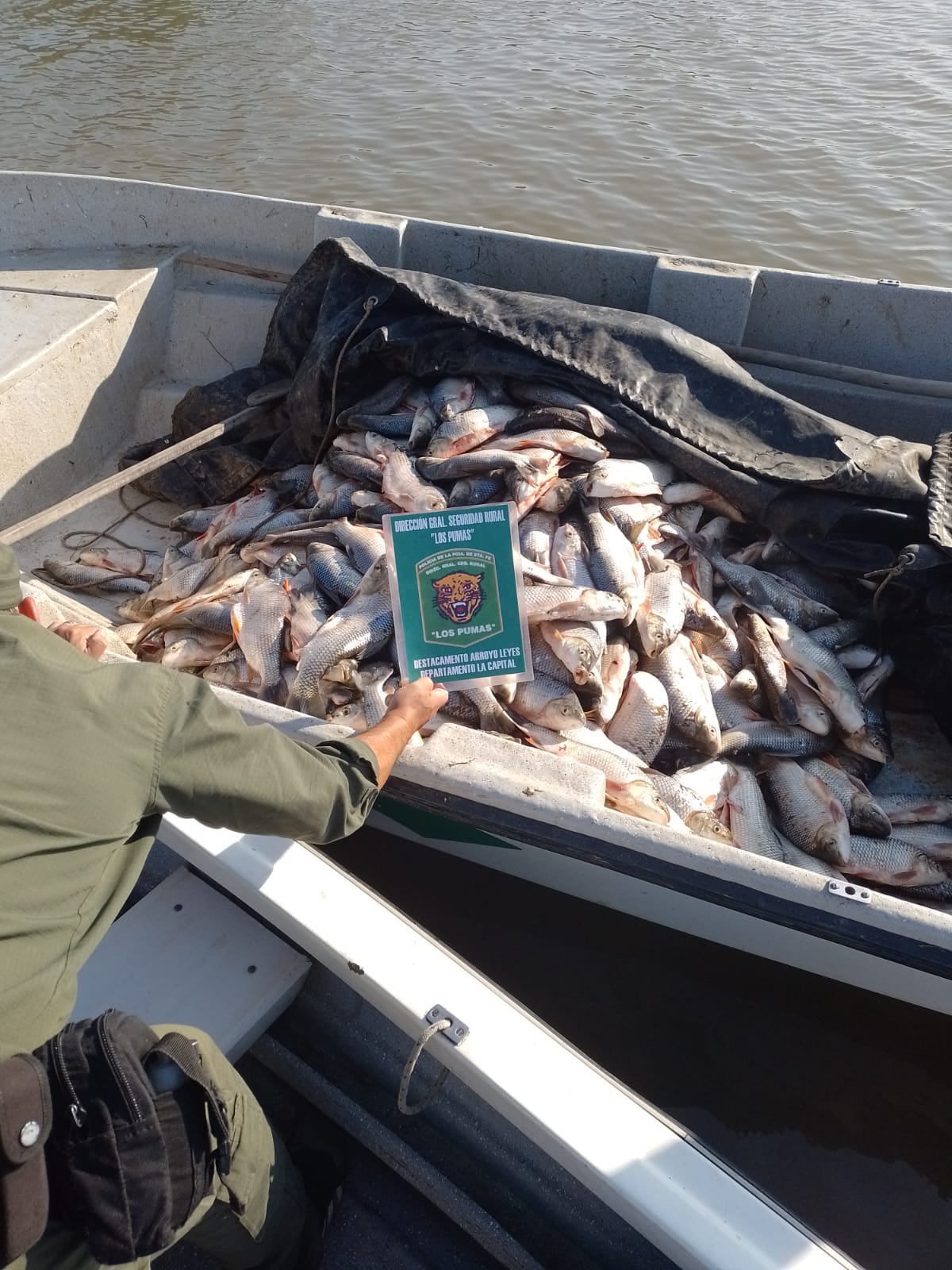 PARTE DE PRENSA: DIRECCION GENERAL DE SEGURIDAD RURAL “LOS PUMAS”