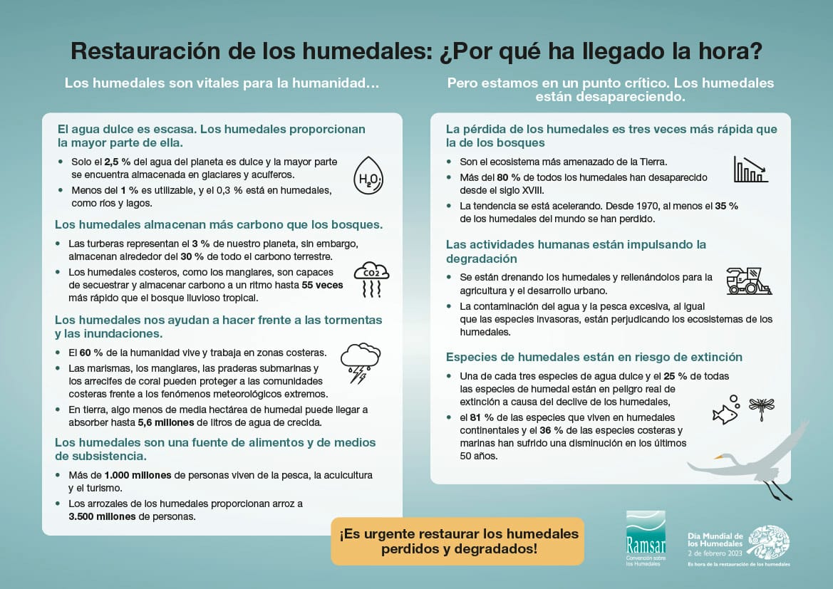 SE CONMEMORA HOY EL “DÍA MUNDIAL DE LOS HUMEDALES”