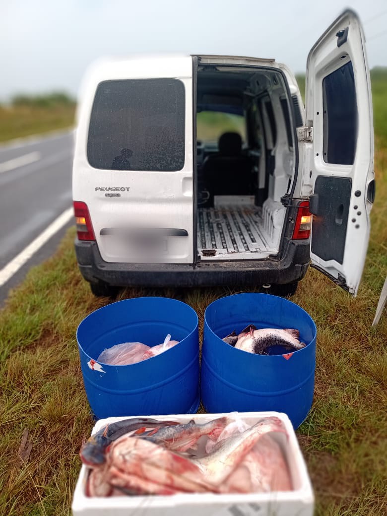 PARTE DE PRENSA: DIRECCION GENERAL DE SEGURIDAD RURAL “LOS PUMAS”