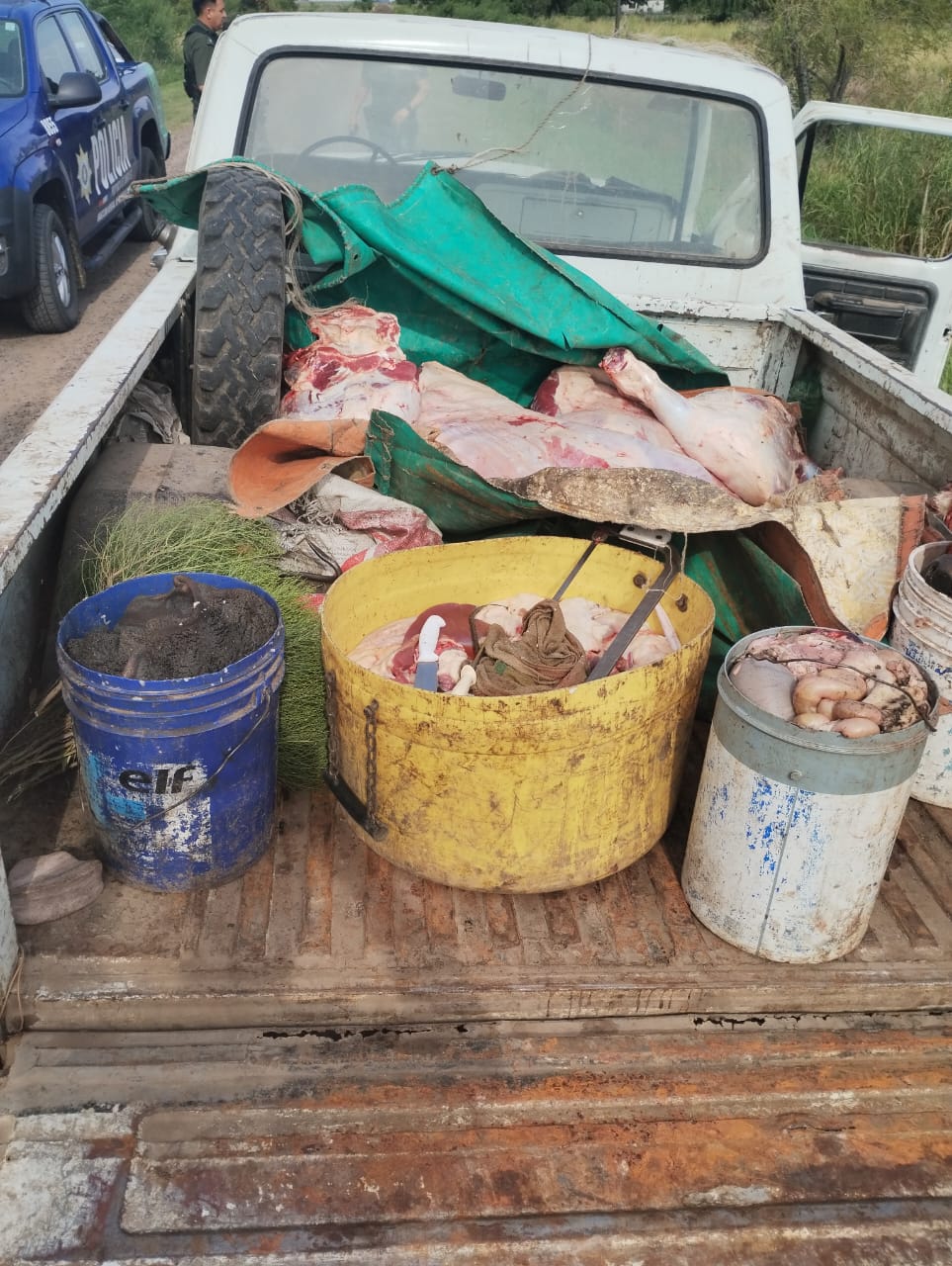 PARTE DE PRENSA: DIRECCION GENERAL DE SEGURIDAD RURAL “LOS PUMAS”