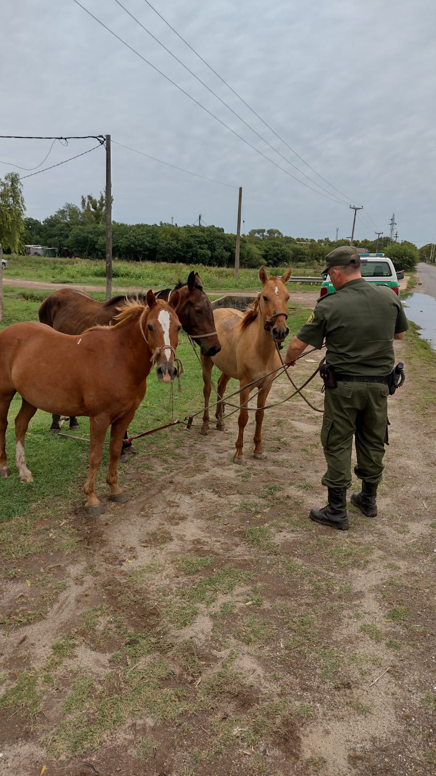 PARTE DE PRENSA: DIRECCION GENERAL DE SEGURIDAD RURAL “LOS PUMAS”