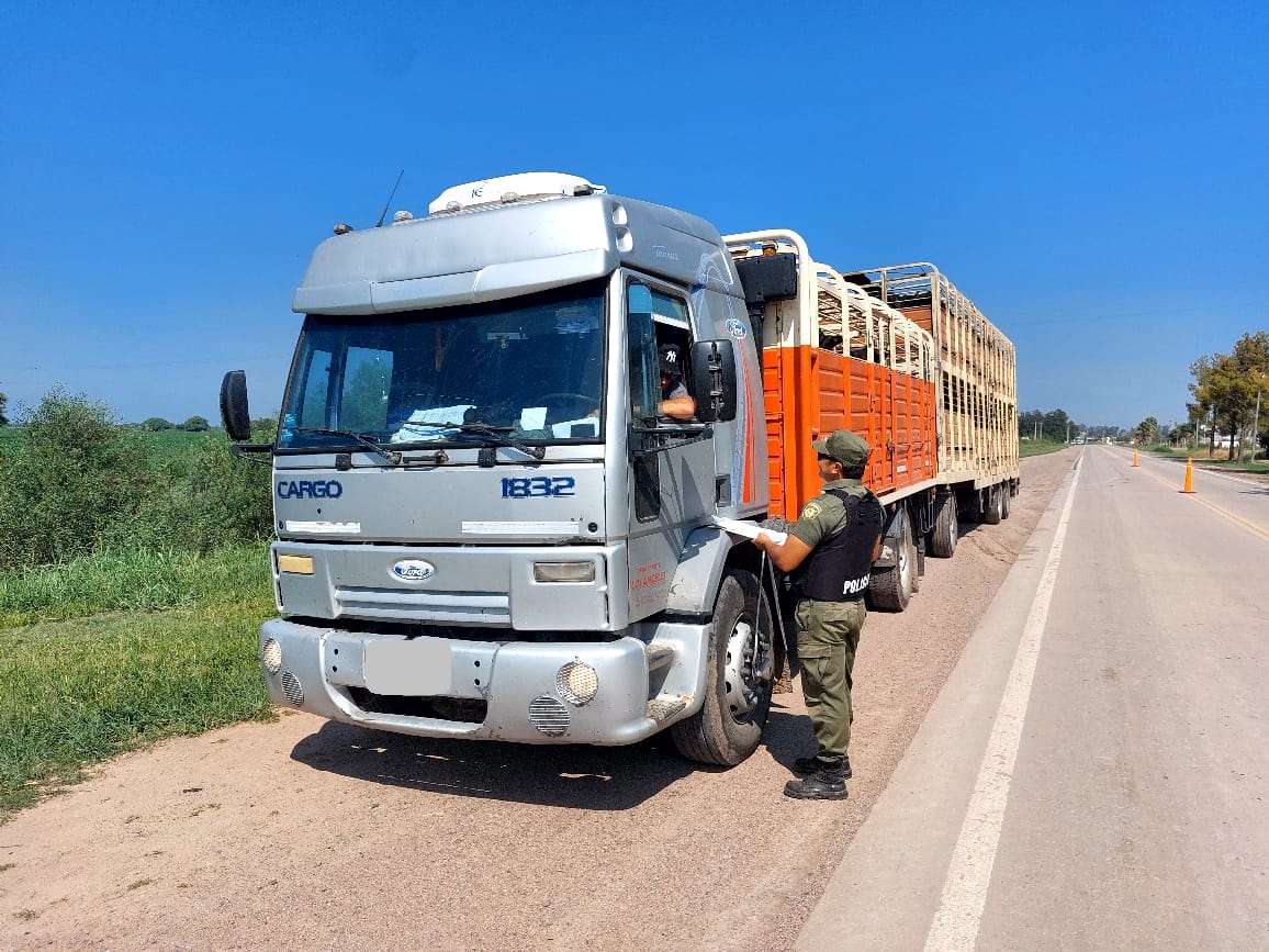 PARTE DE PRENSA: DIRECCION GENERAL DE SEGURIDAD RURAL “LOS PUMAS”