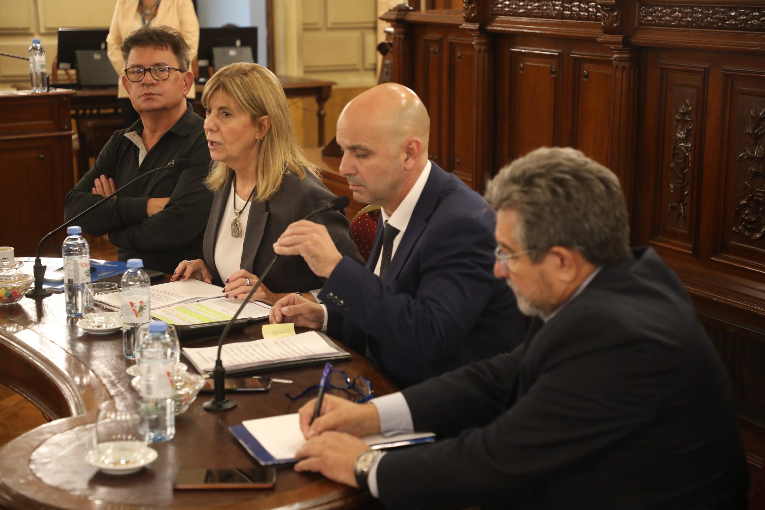 BRILLONI SE REUNIÓ CON SENADORES PARA DEFINIR UNA NUEVA LEY DE EMERGENCIA EN SEGURIDAD