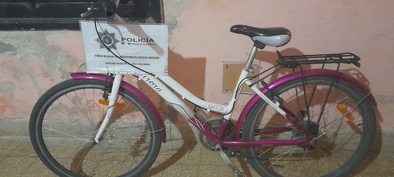 VILLA GUILLERMINA: HURTO