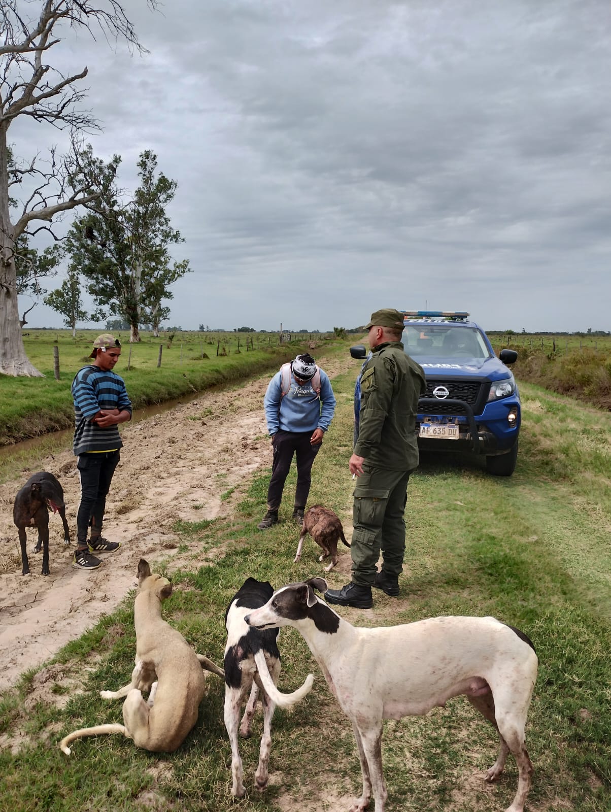 PARTE DE PRENSA: DIRECCION GENERAL DE SEGURIDAD RURAL “LOS PUMAS”