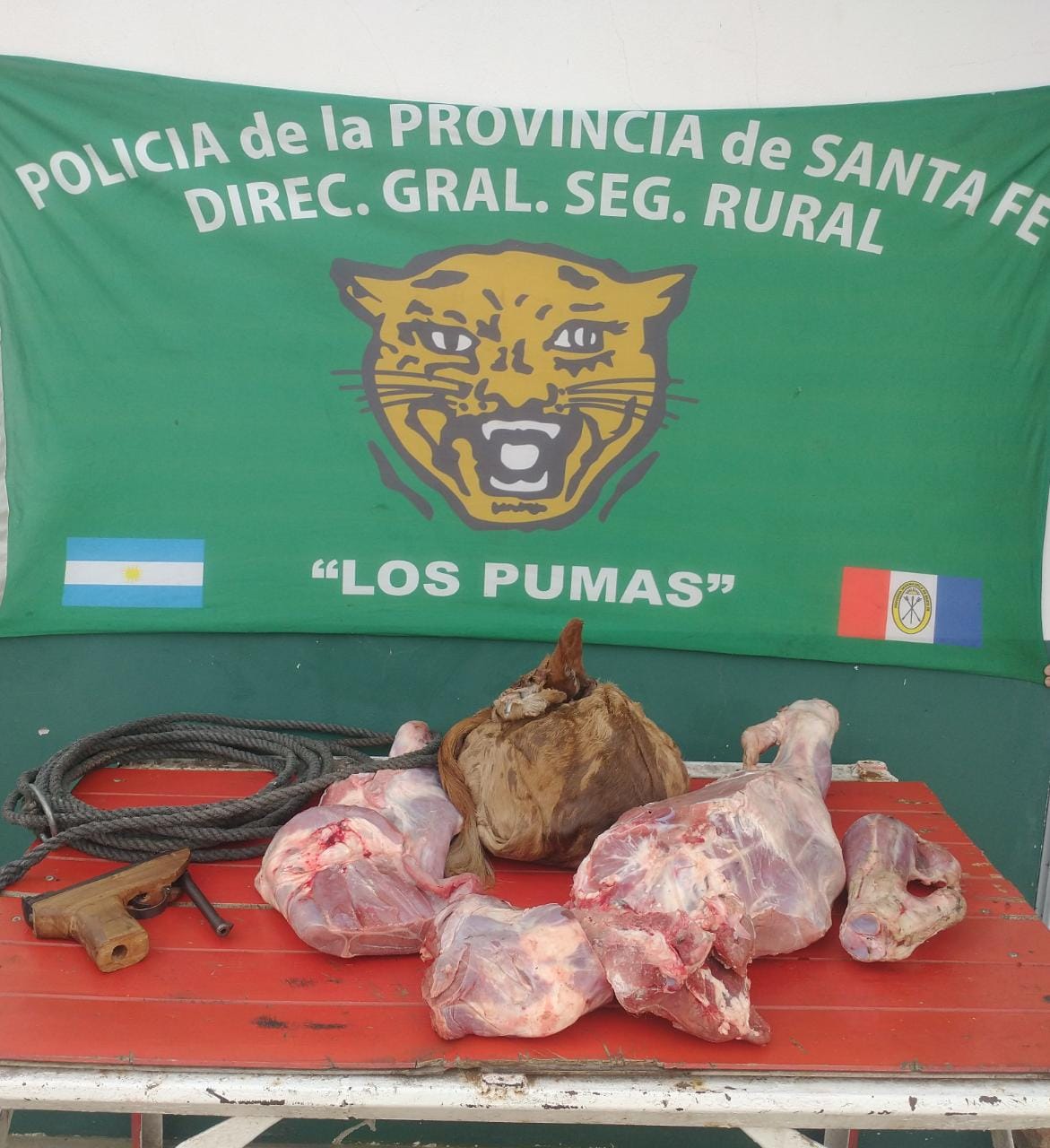 PARTE DE PRENSA: DIRECCION GENERAL DE SEGURIDAD RURAL “LOS PUMAS”