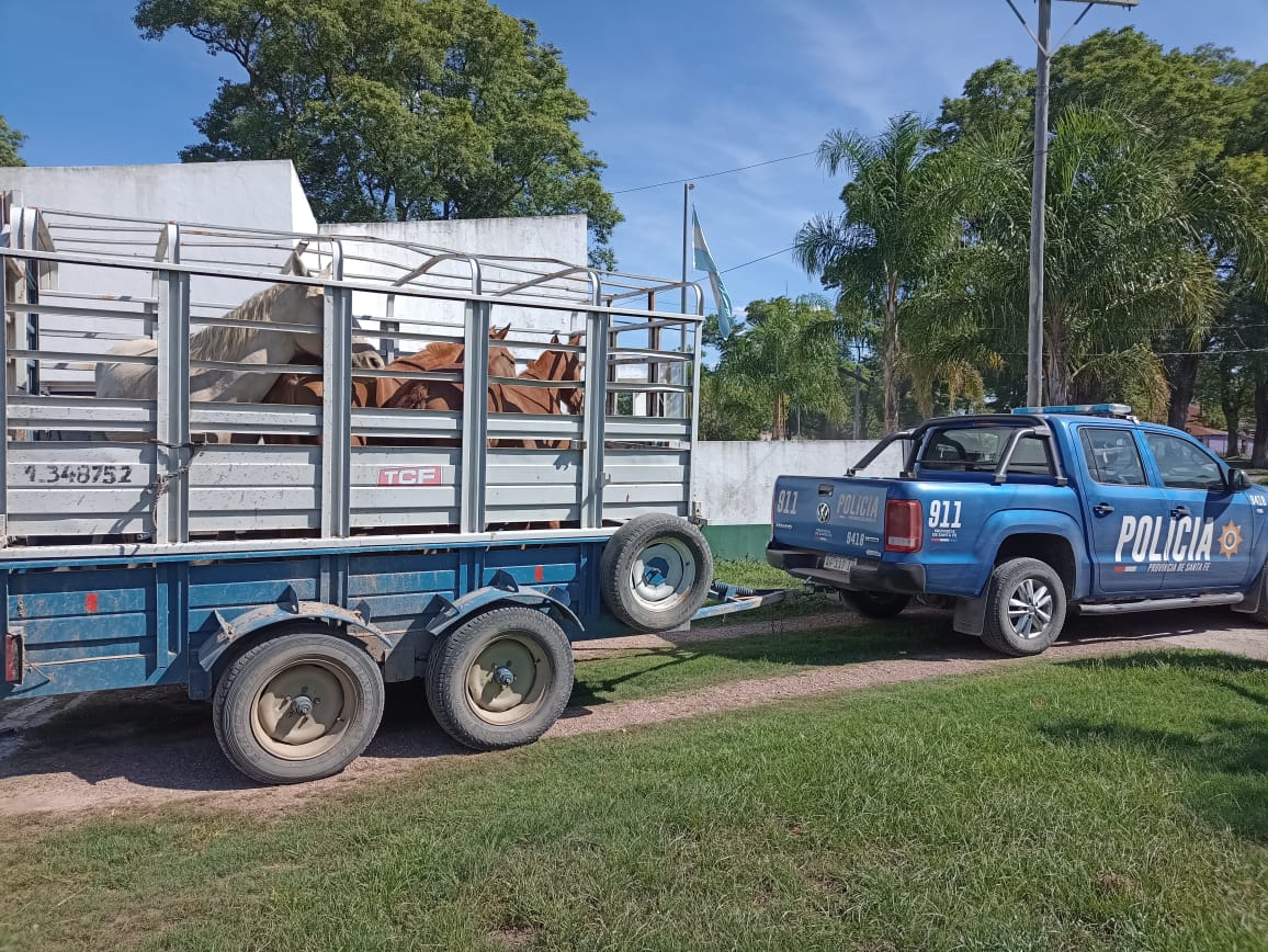 PARTE DE PRENSA: DIRECCION GENERAL DE SEGURIDAD RURAL “LOS PUMAS”