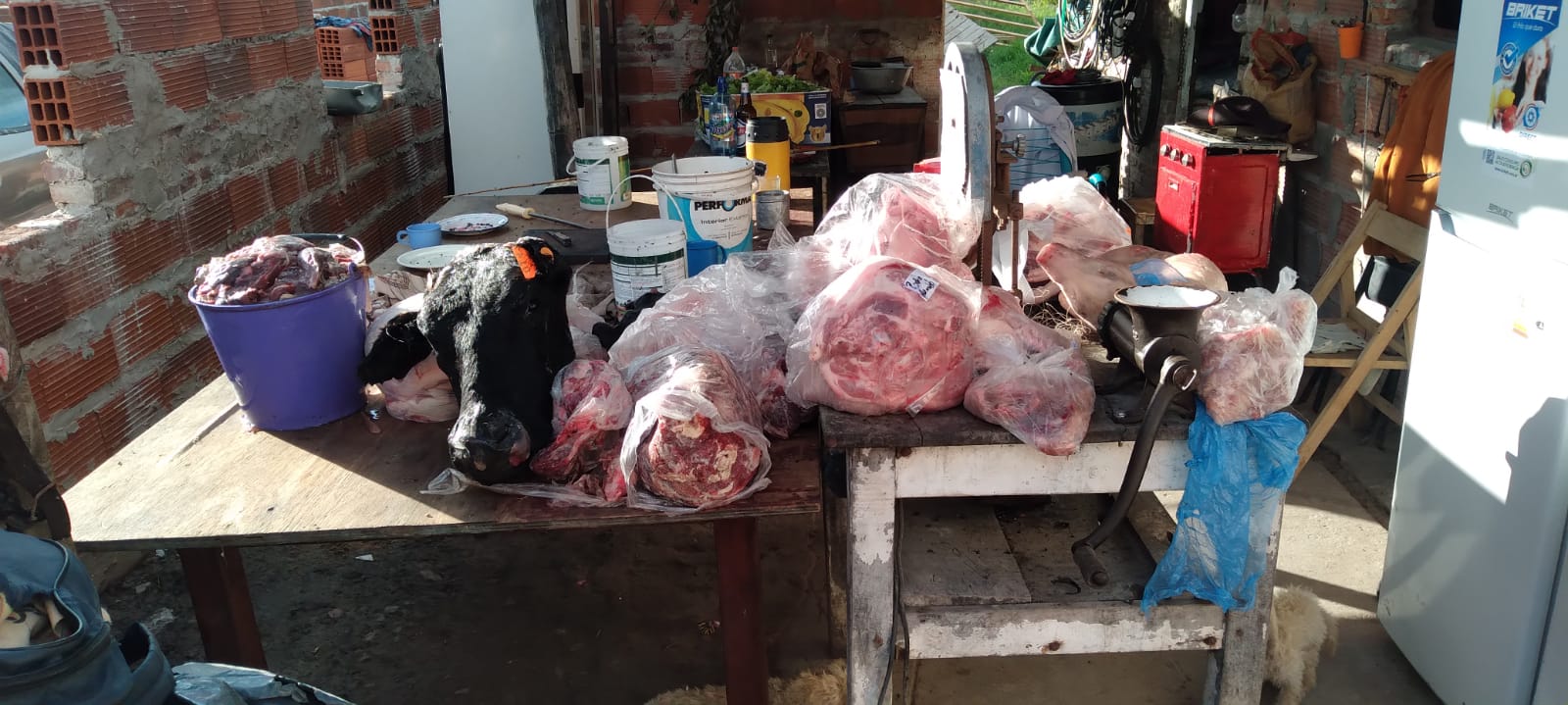 PARTE DE PRENSA: DIRECCION GENERAL DE SEGURIDAD RURAL “LOS PUMAS”