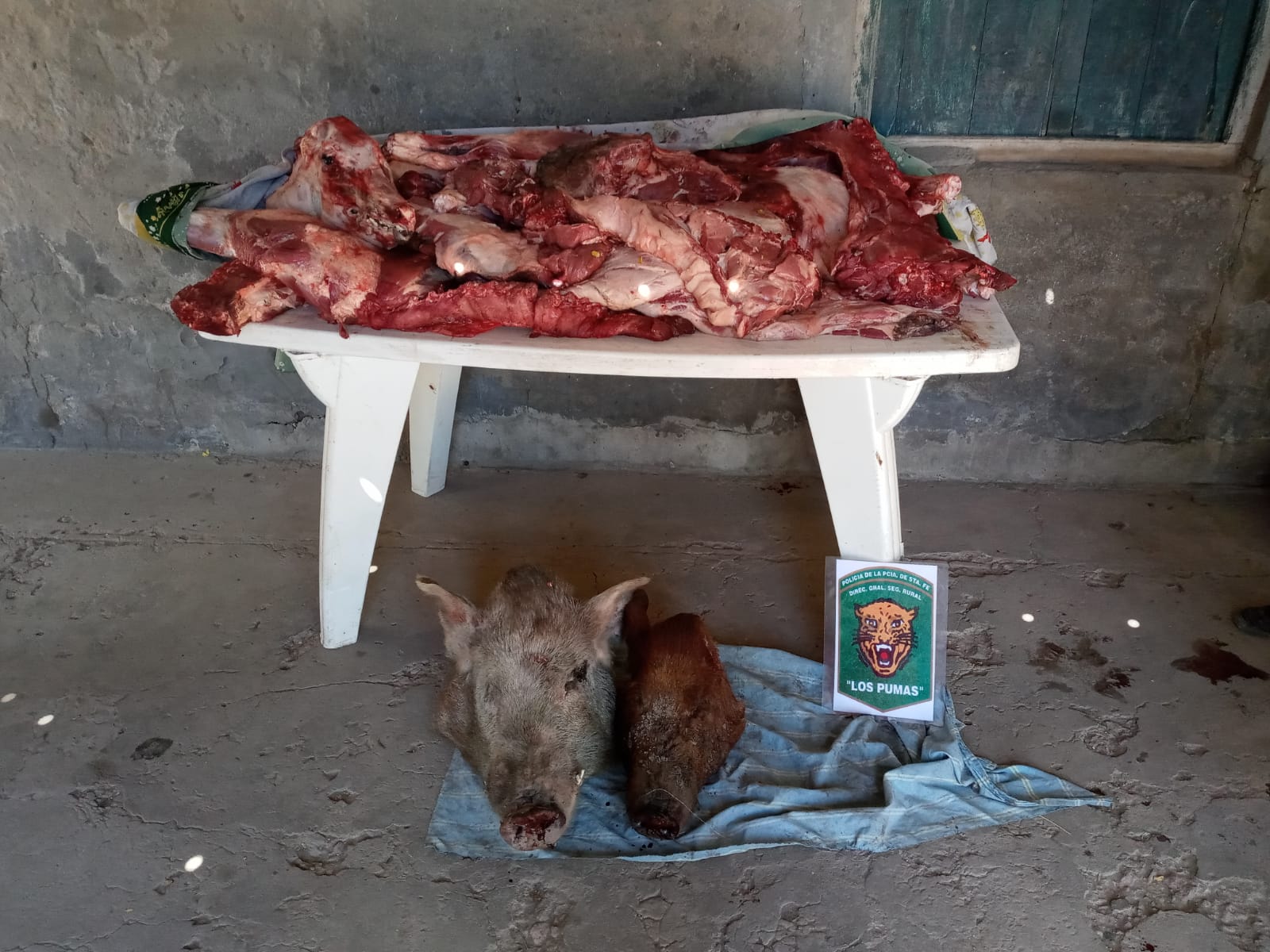 PARTE DE PRENSA: DIRECCION GENERAL DE SEGURIDAD RURAL “LOS PUMAS”