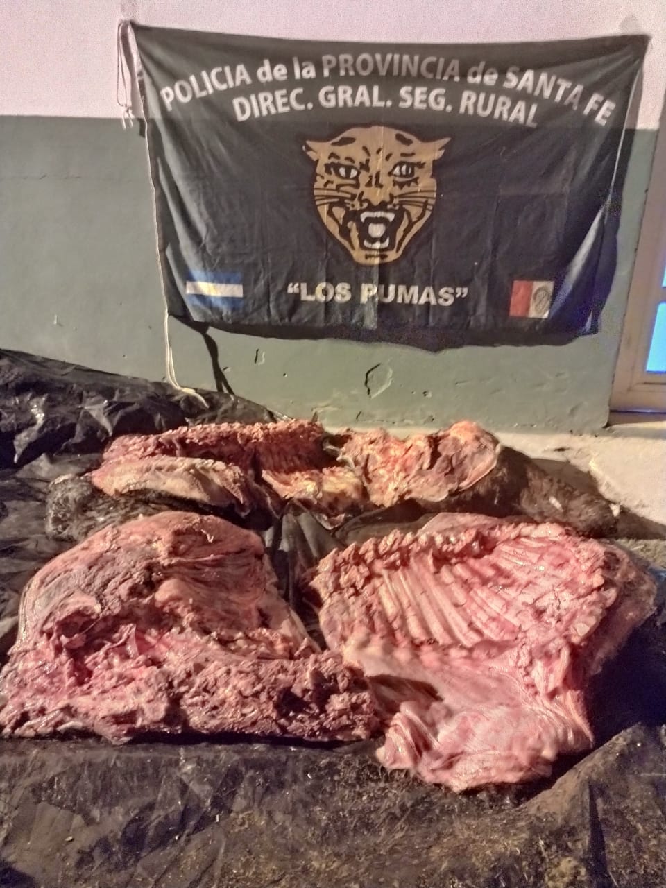PARTE DE PRENSA: DIRECCION GENERAL DE SEGURIDAD RURAL “LOS PUMAS”