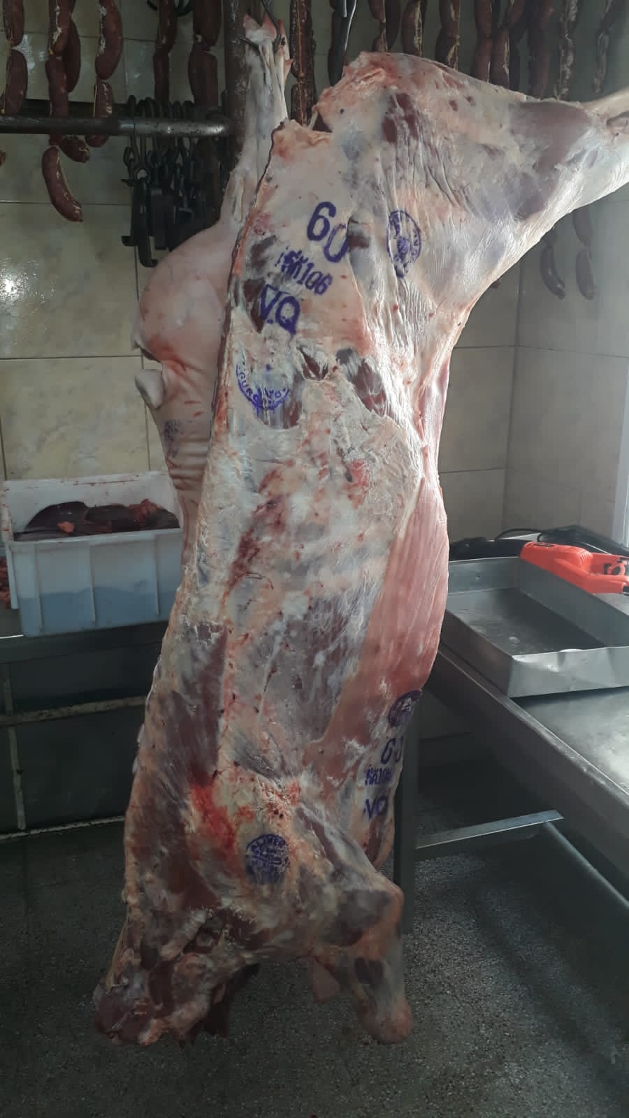 PARTE DE PRENSA: DIRECCION GENERAL DE SEGURIDAD RURAL “LOS PUMAS”