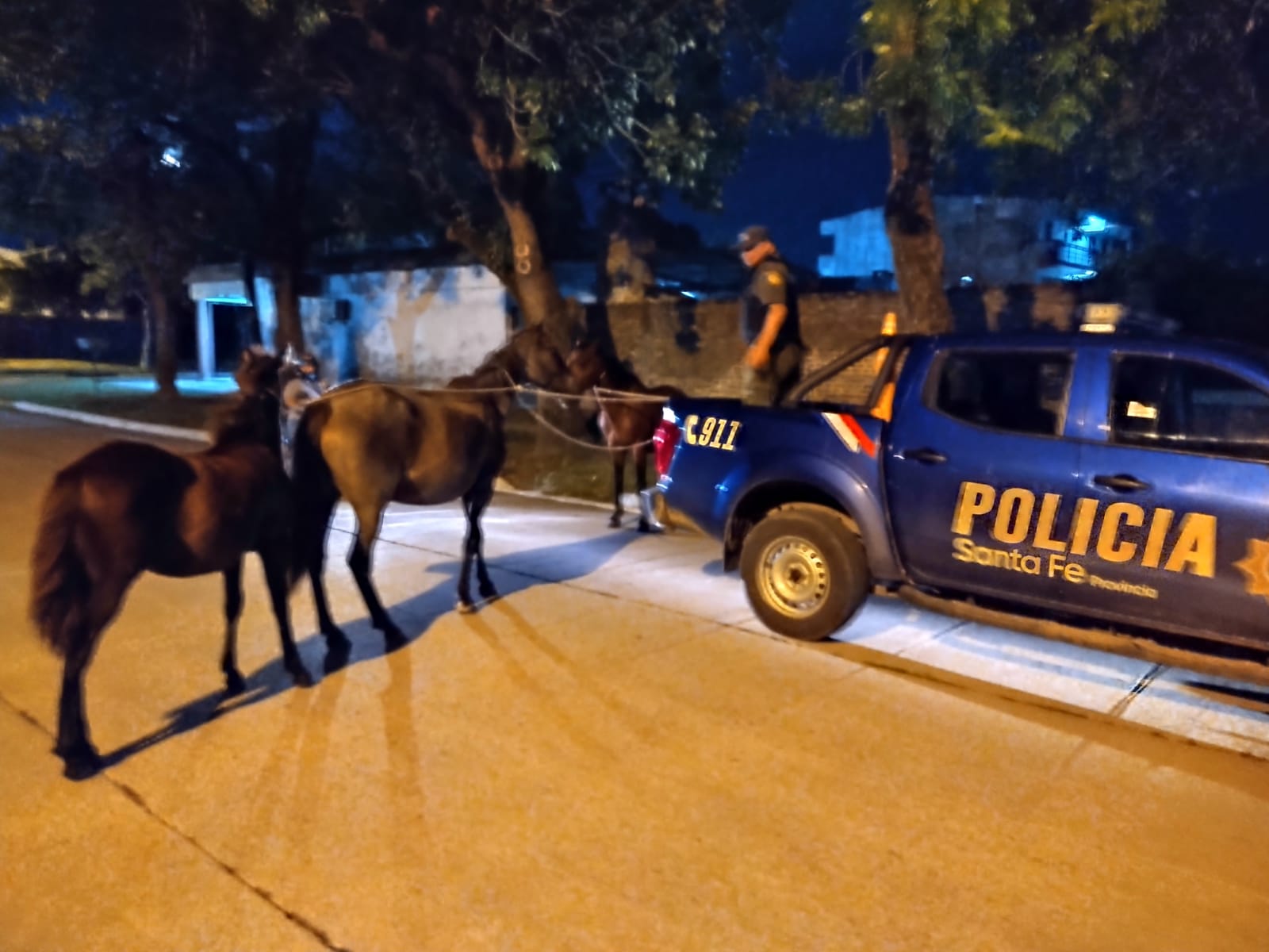 PARTE DE PRENSA: DIRECCION GENERAL DE SEGURIDAD RURAL “LOS PUMAS”