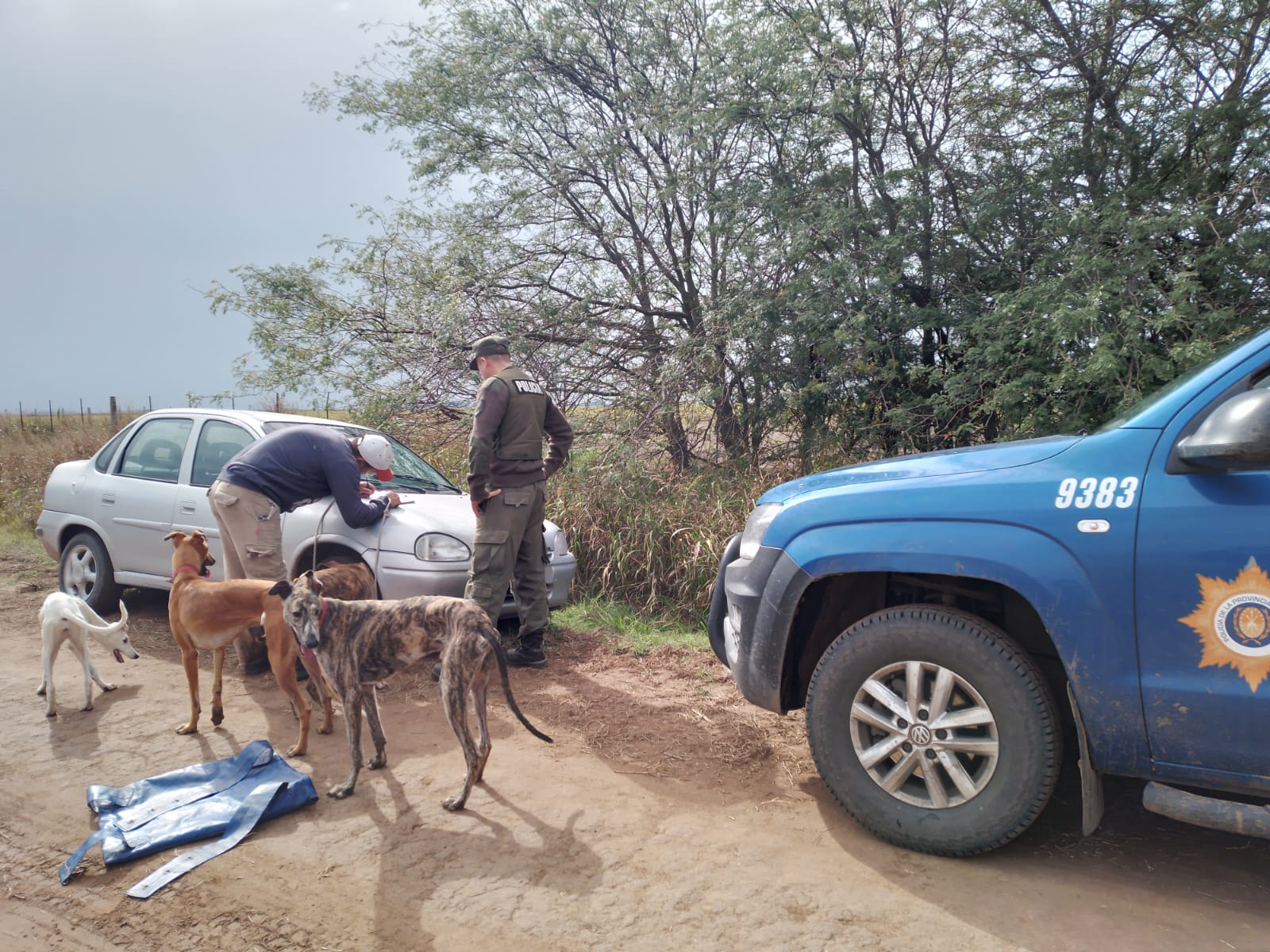 PARTE DE PRENSA: DIRECCION GENERAL DE SEGURIDAD RURAL “LOS PUMAS”