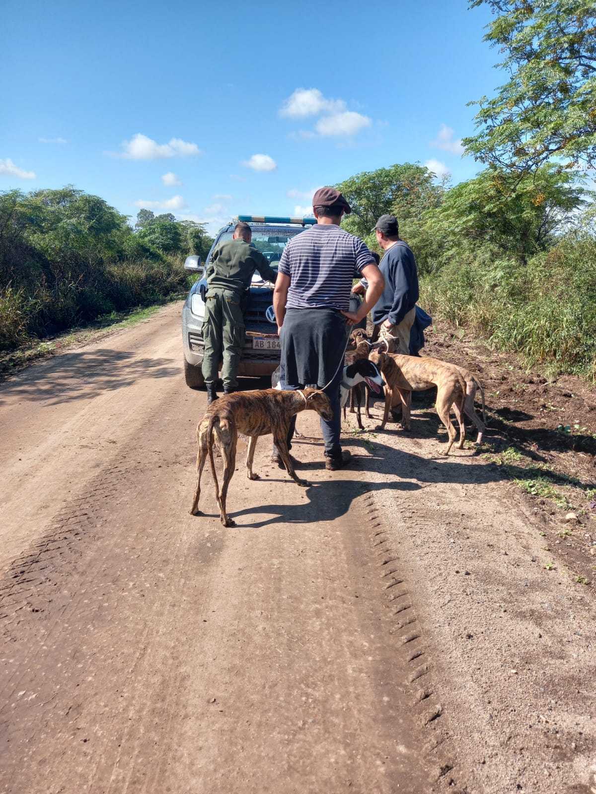 PARTE DE PRENSA: DIRECCION GENERAL DE SEGURIDAD RURAL “LOS PUMAS”