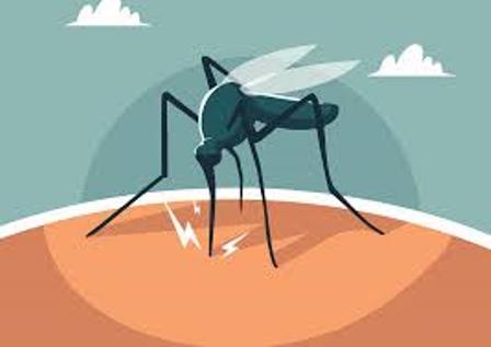 SE SOLICITA COLABORACIÓN ANTE LOS OPERATIVOS DE PREVENCIÓN DEL DENGUE